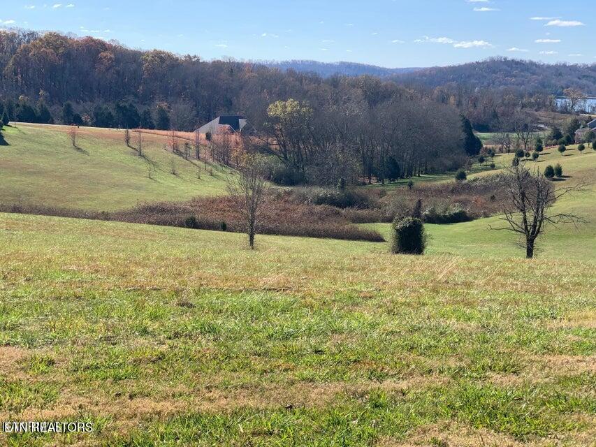 213 Majestic View Drive Rockwood TN 37854