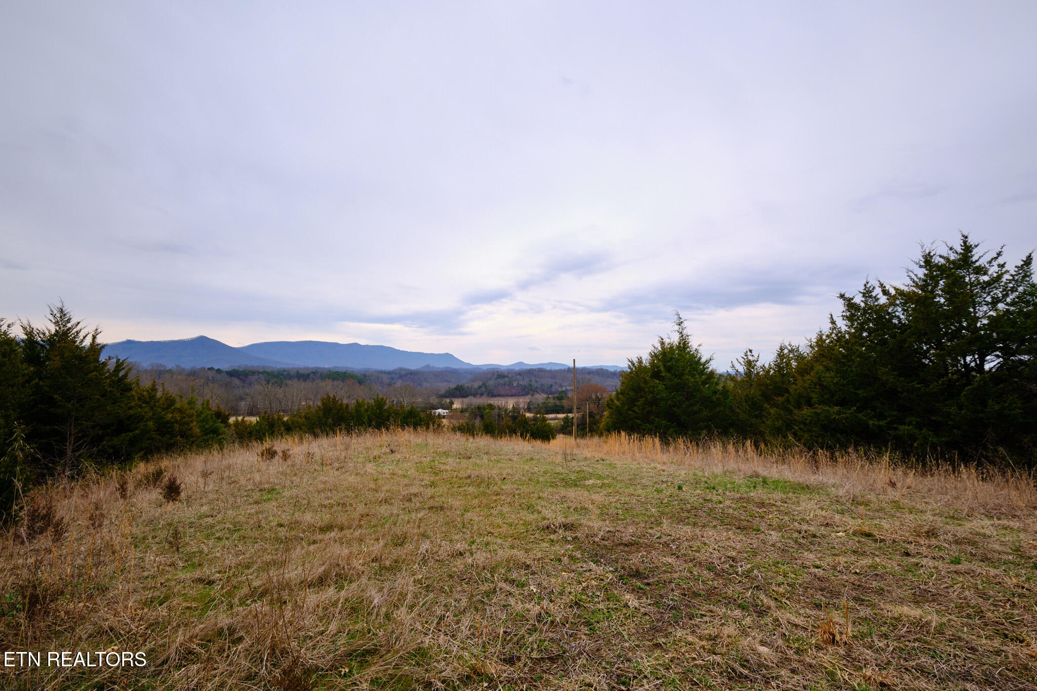 1420 Swannsylvania Road Dandridge TN 37725