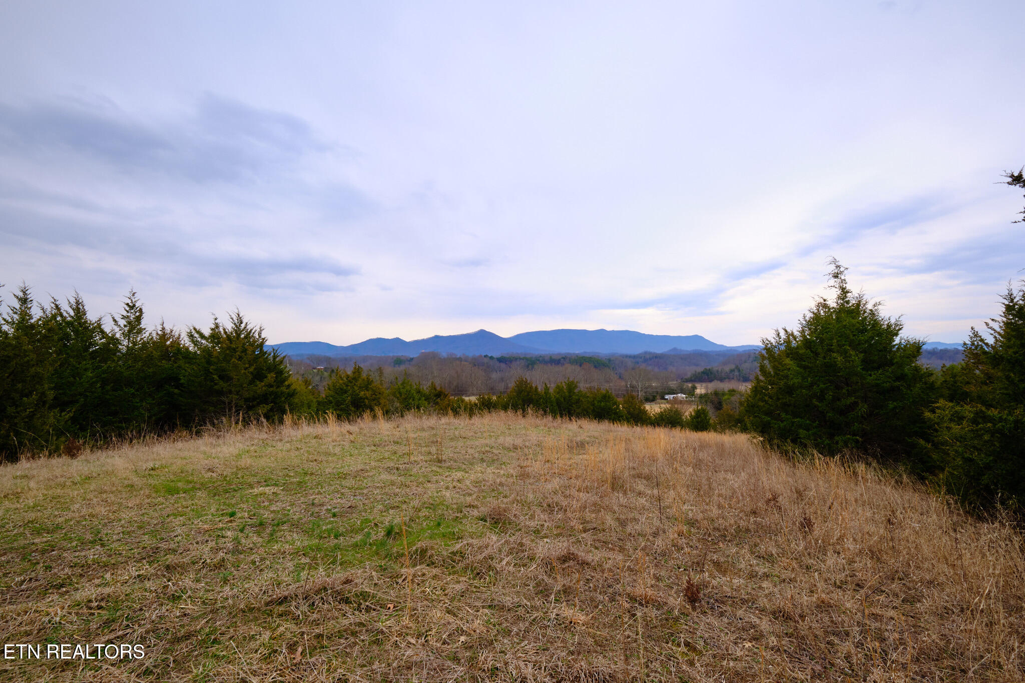 1420 Swannsylvania Road Dandridge TN 37725