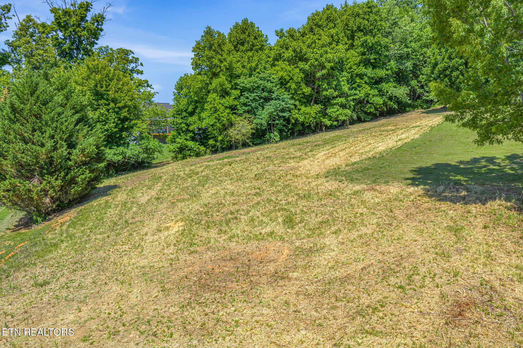 165 Cold Creek Road Madisonville TN 37354