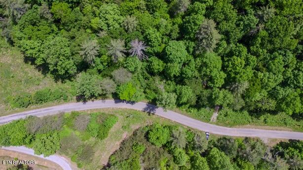 379 Maple Springs Road Reliance TN 37369