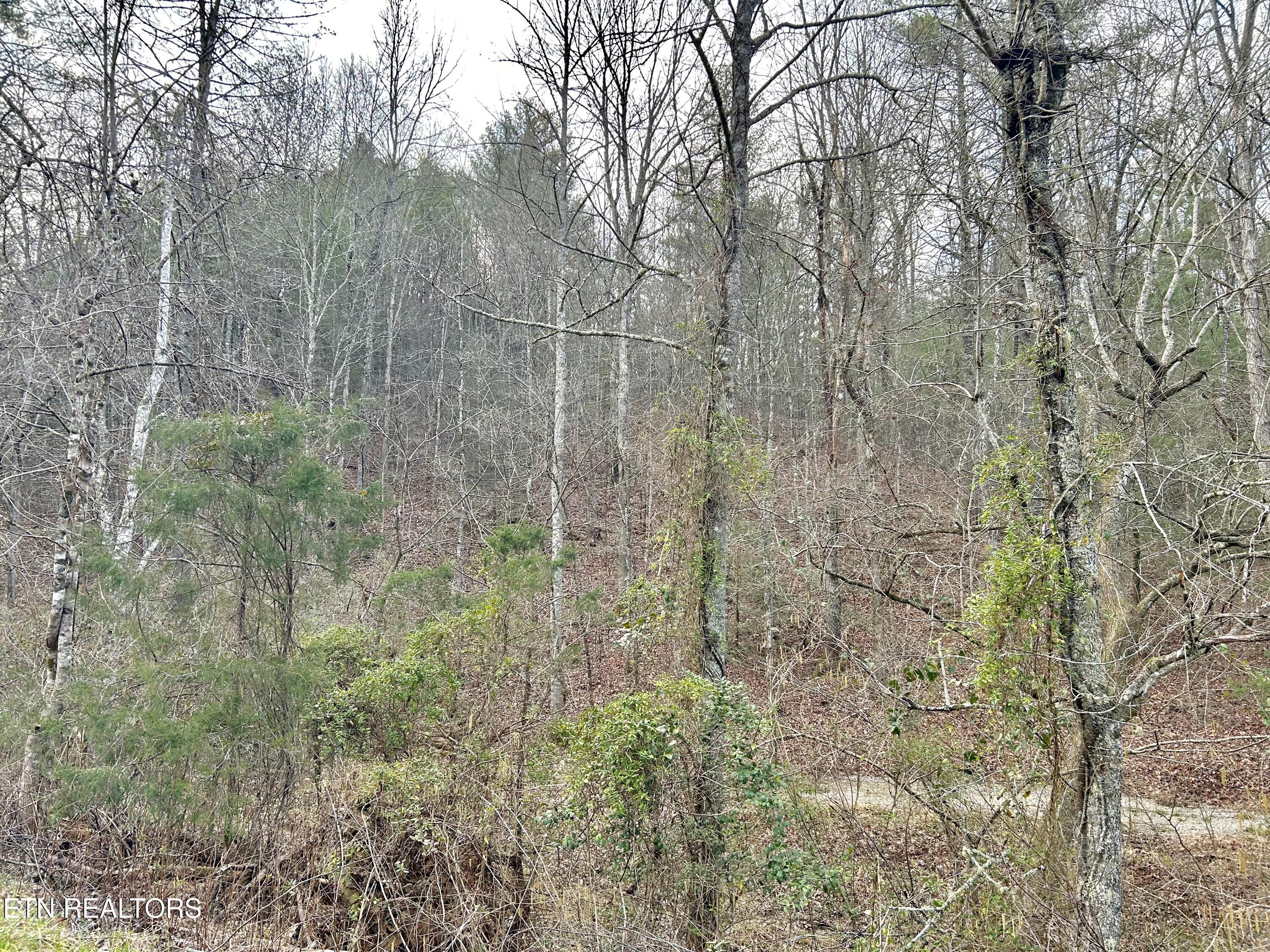 379 Maple Springs Road Reliance TN 37369
