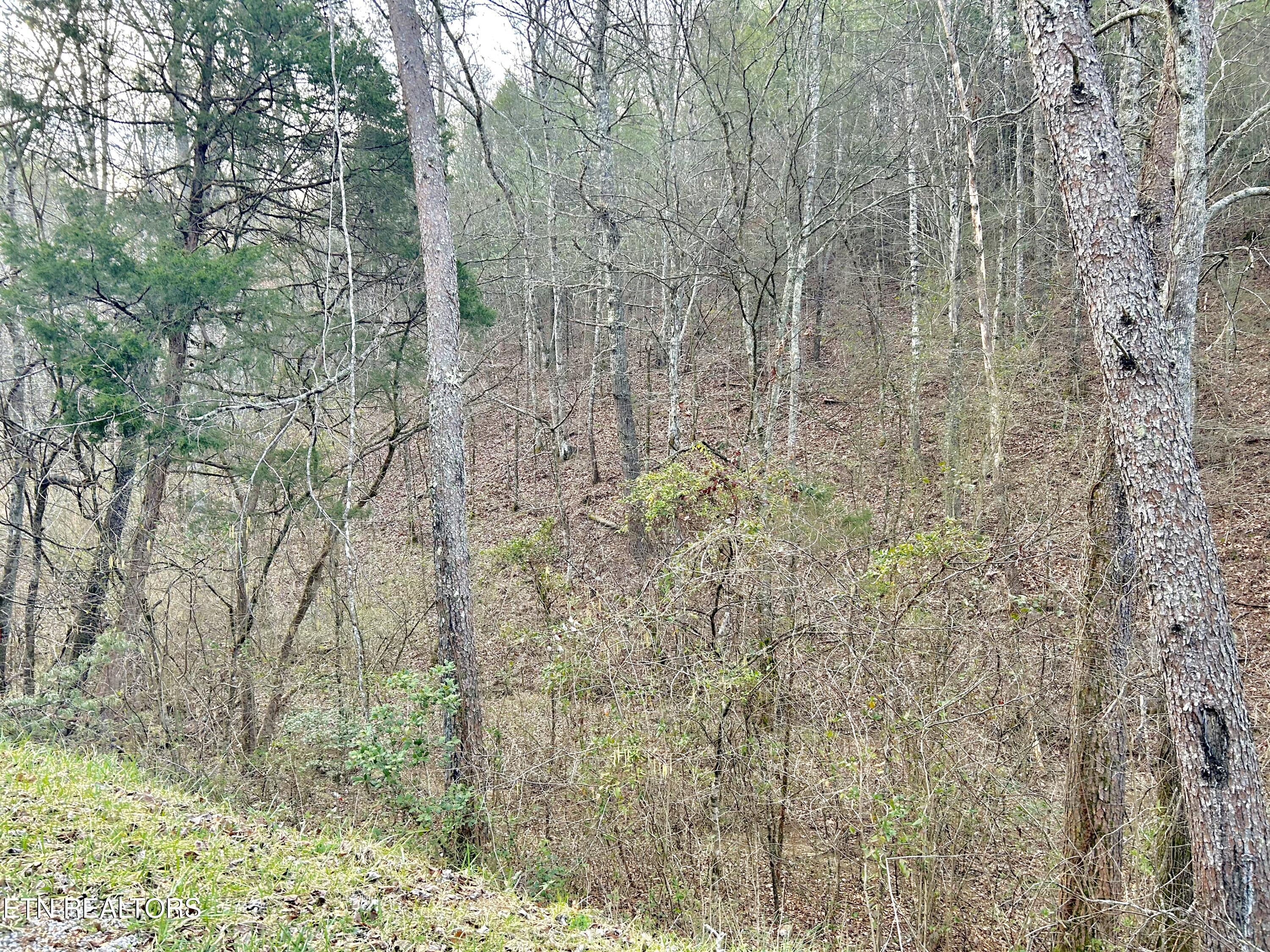 379 Maple Springs Road Reliance TN 37369
