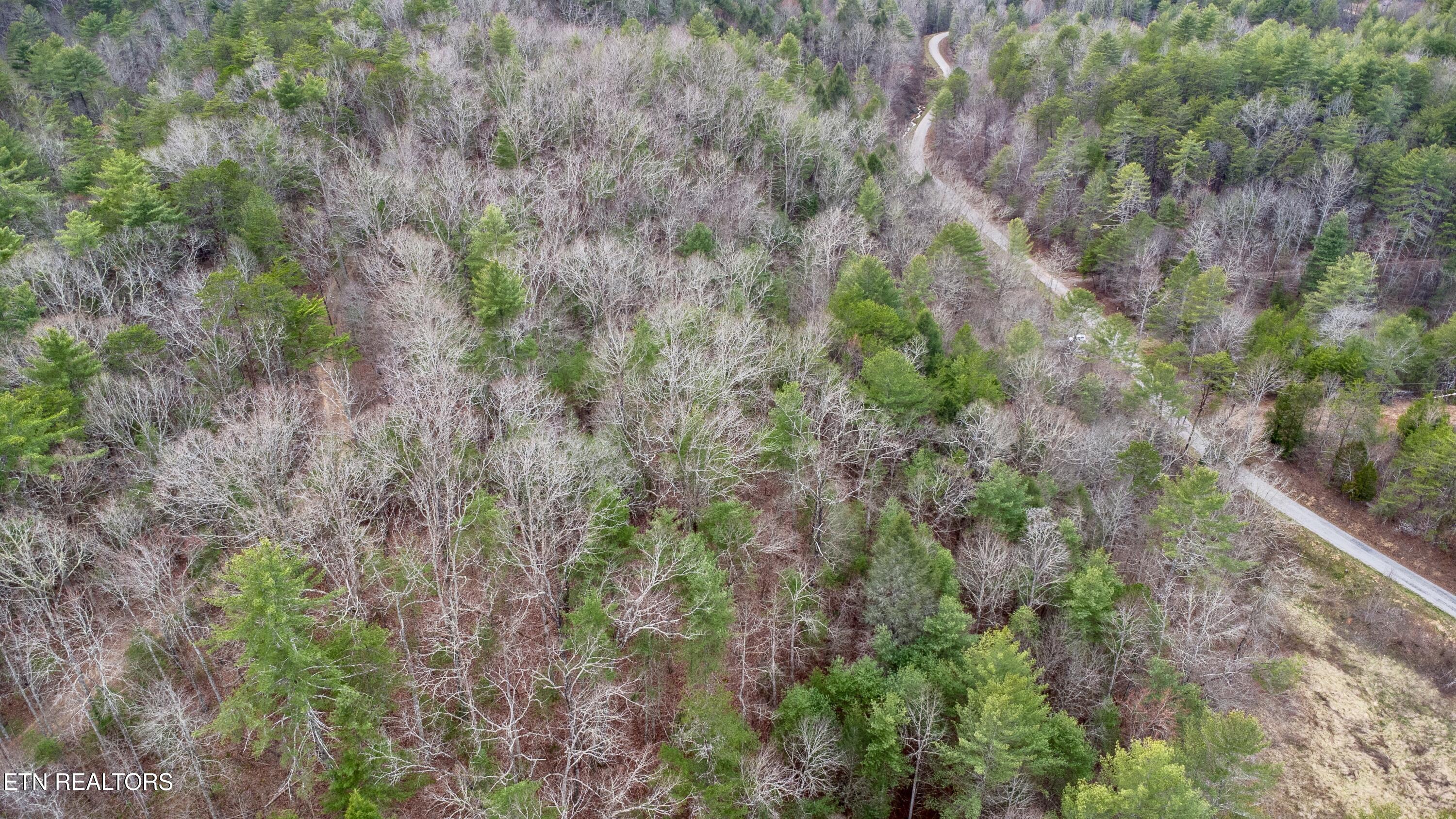 379 Maple Springs Road Reliance TN 37369