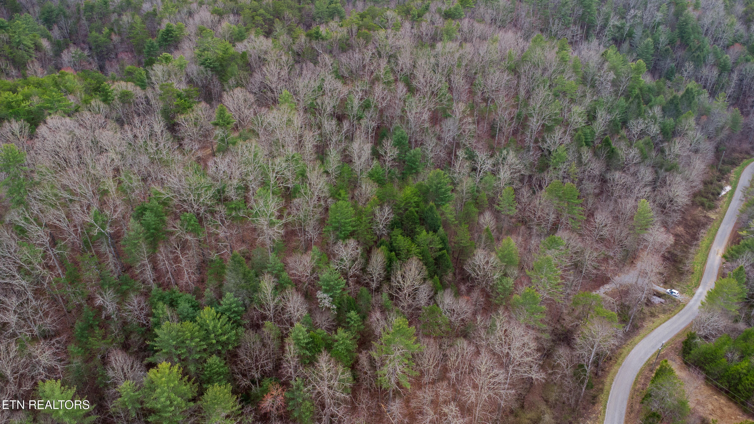 379 Maple Springs Road Reliance TN 37369