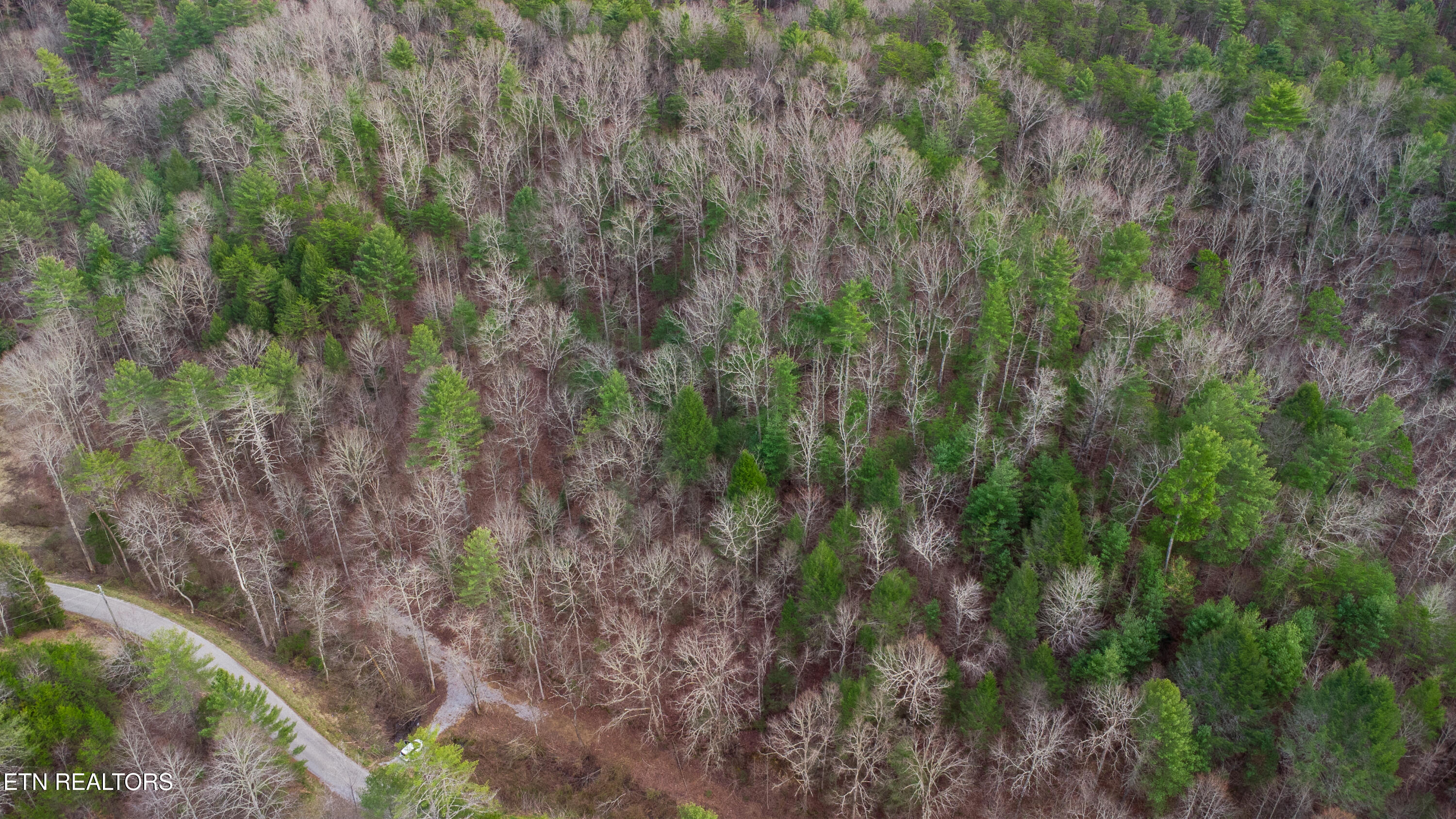 379 Maple Springs Road Reliance TN 37369
