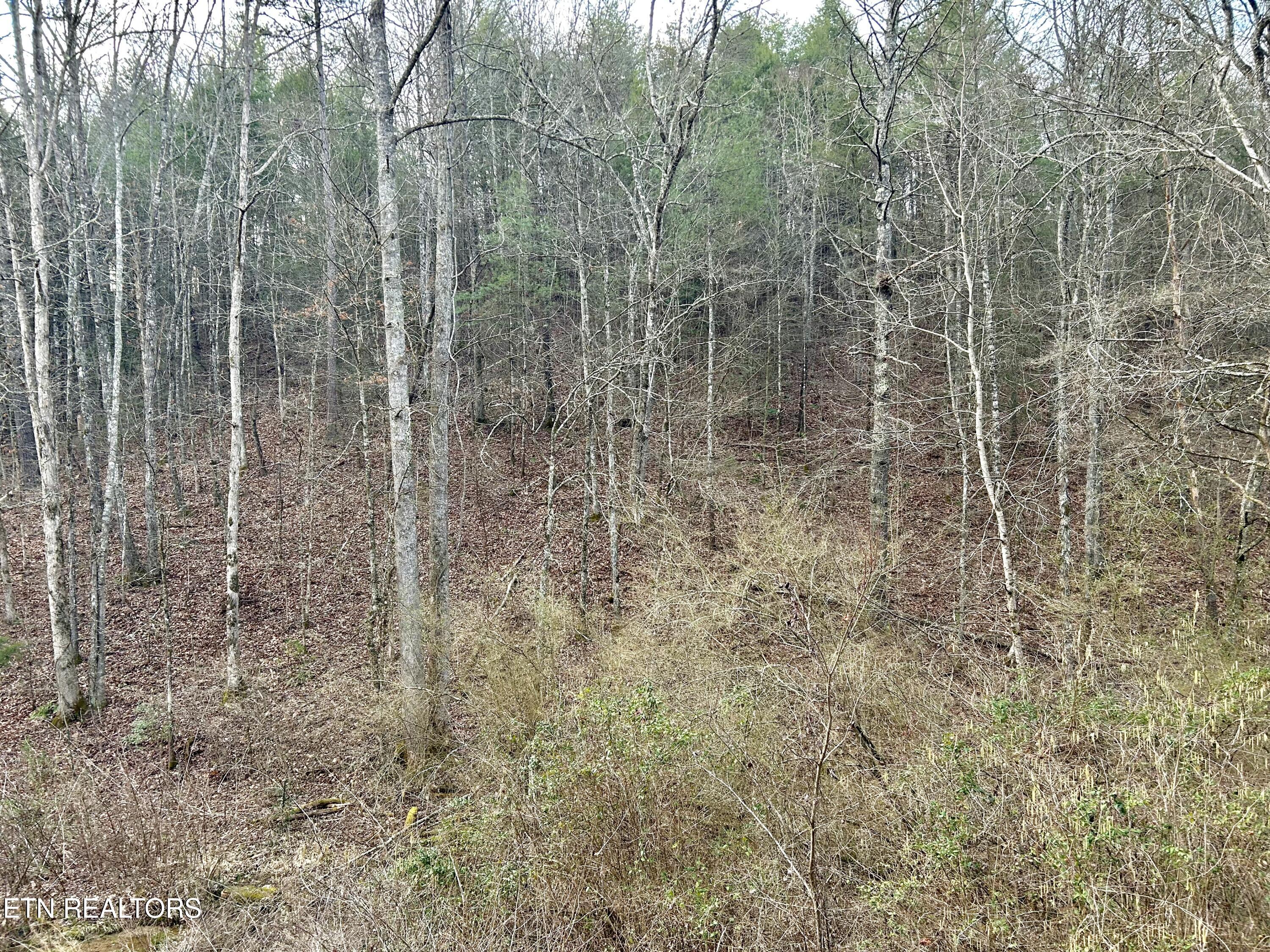 379 Maple Springs Road Reliance TN 37369