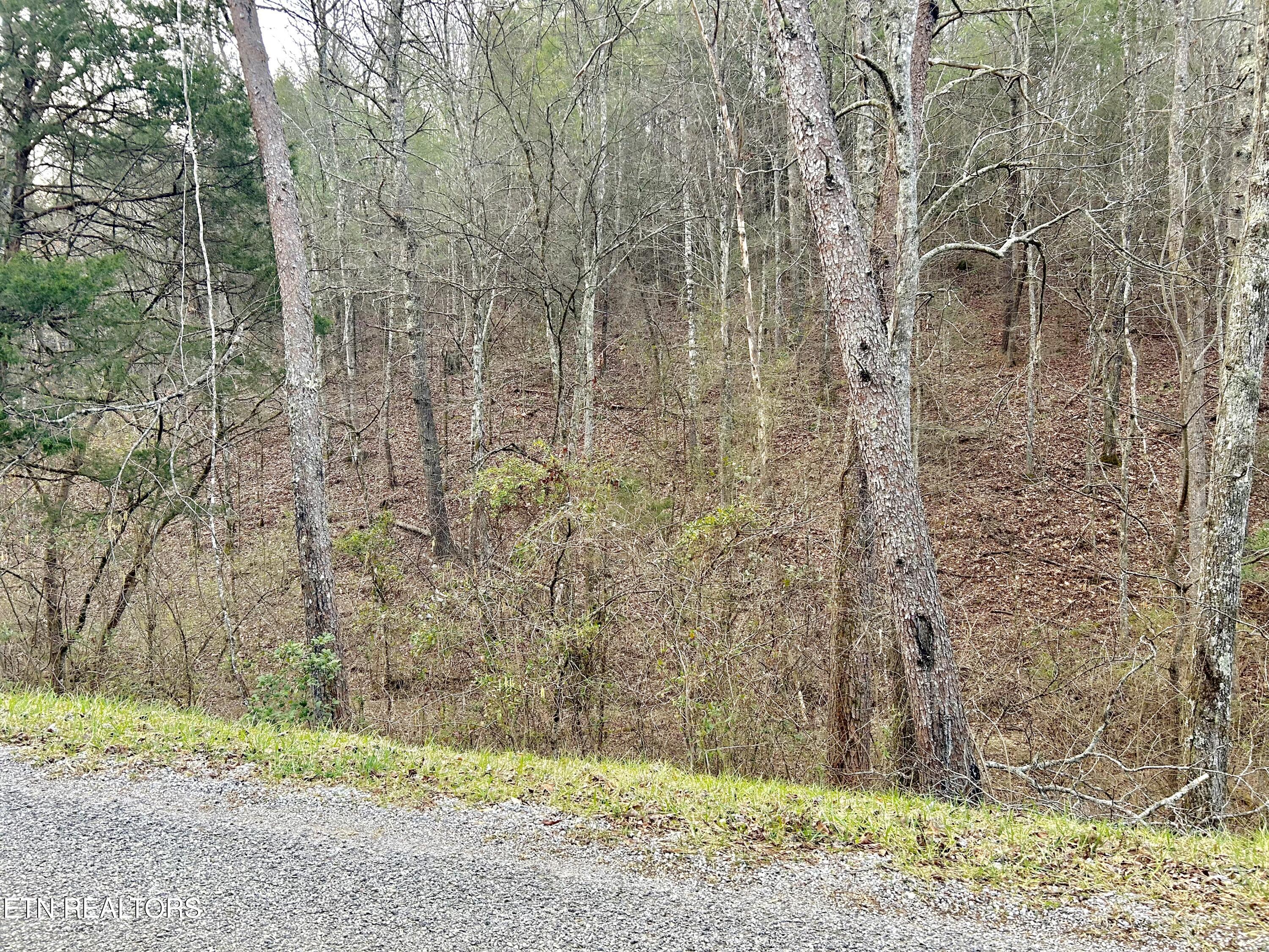 379 Maple Springs Road Reliance TN 37369