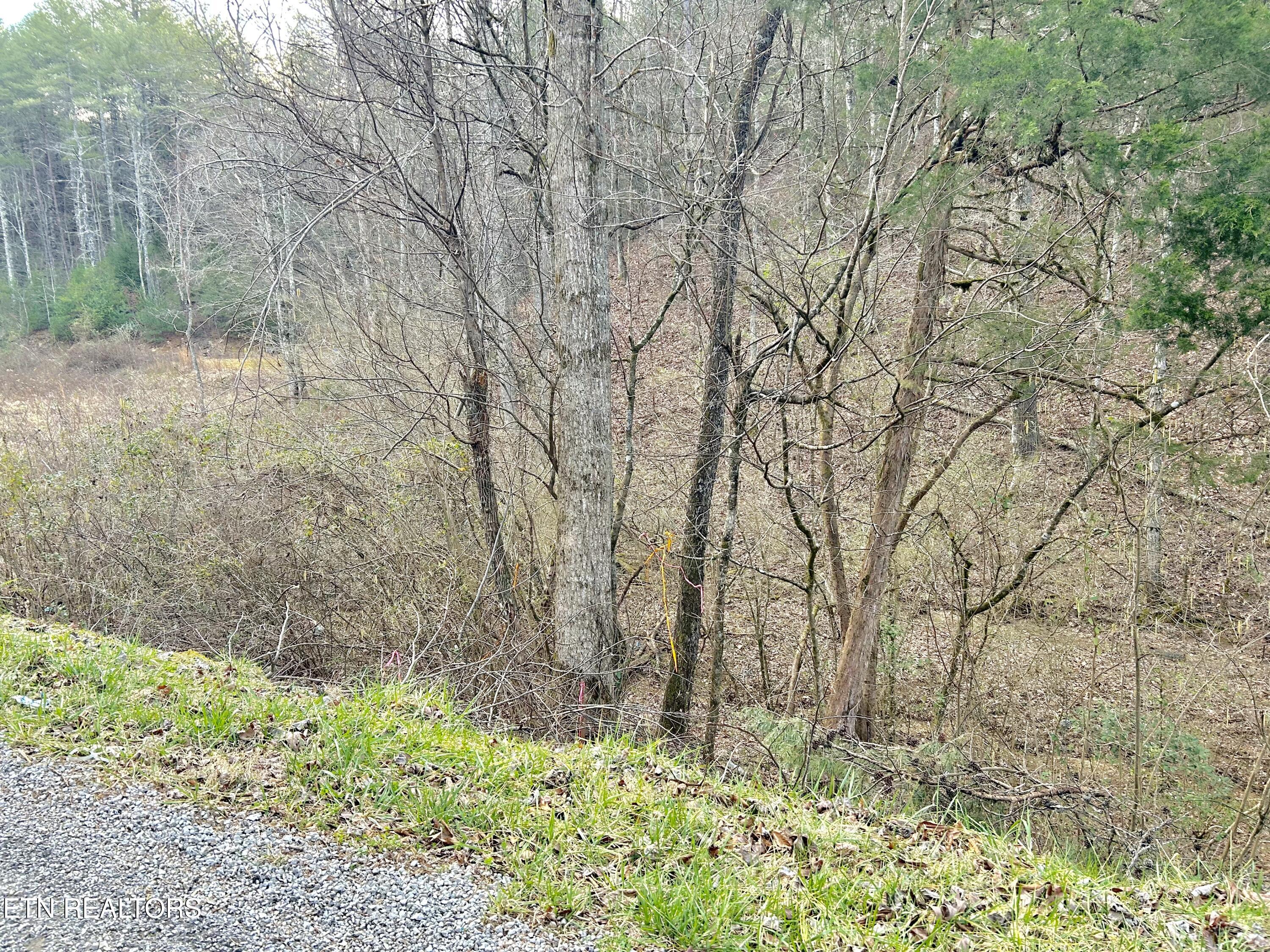 379 Maple Springs Road Reliance TN 37369