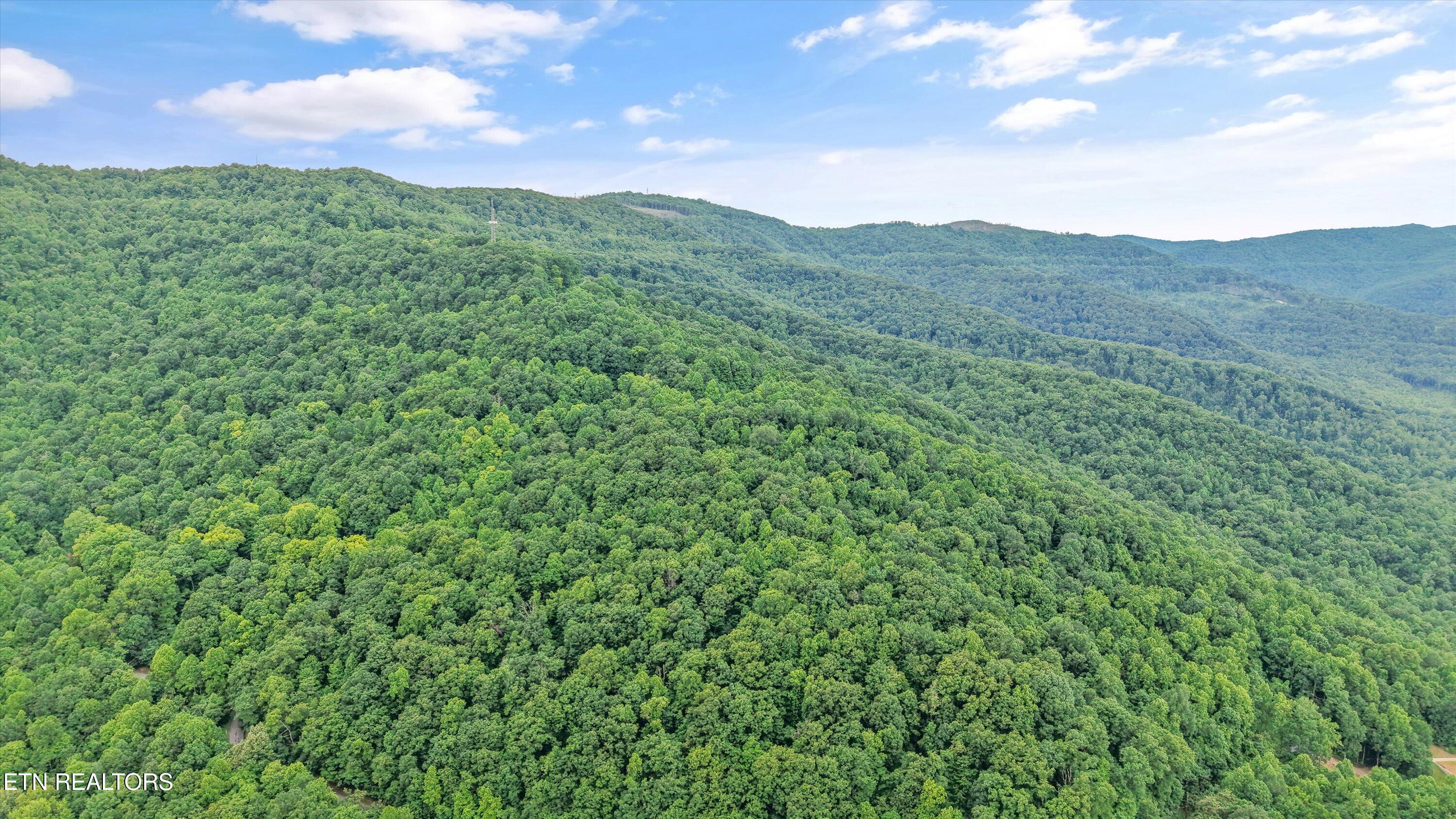 Mountain Road Caryville TN 37714