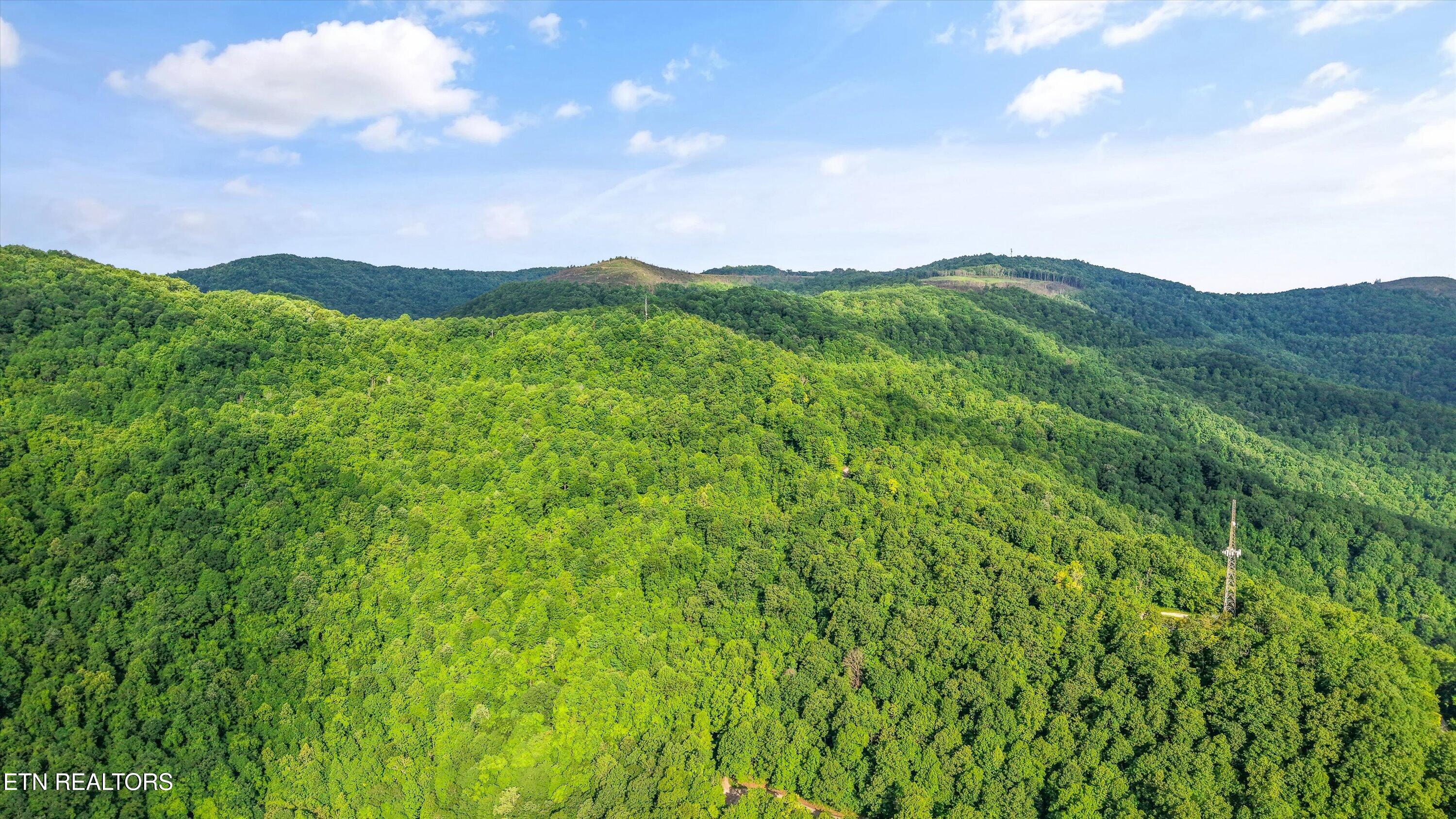 Mountain Road Caryville TN 37714
