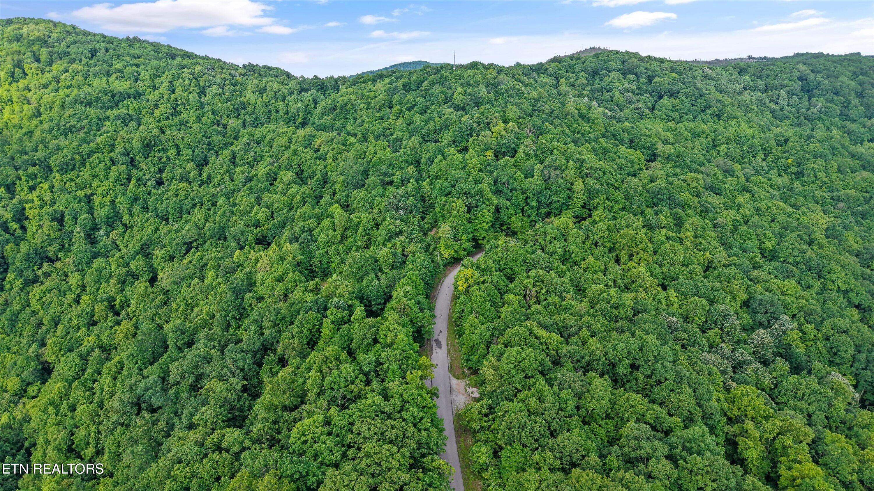 Mountain Road Caryville TN 37714