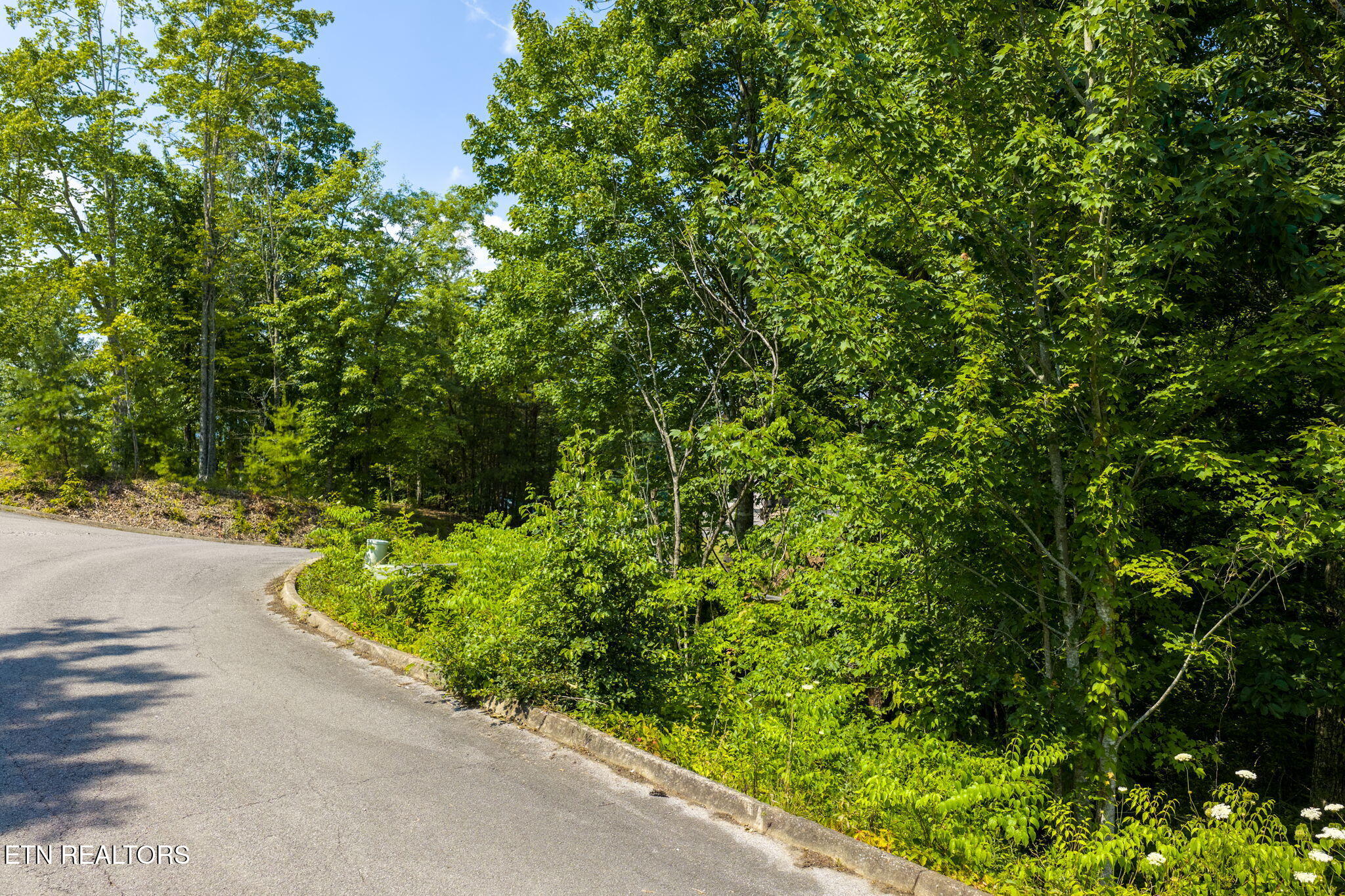 Lot 40 Laughing Pine Lane Sevierville TN 37862