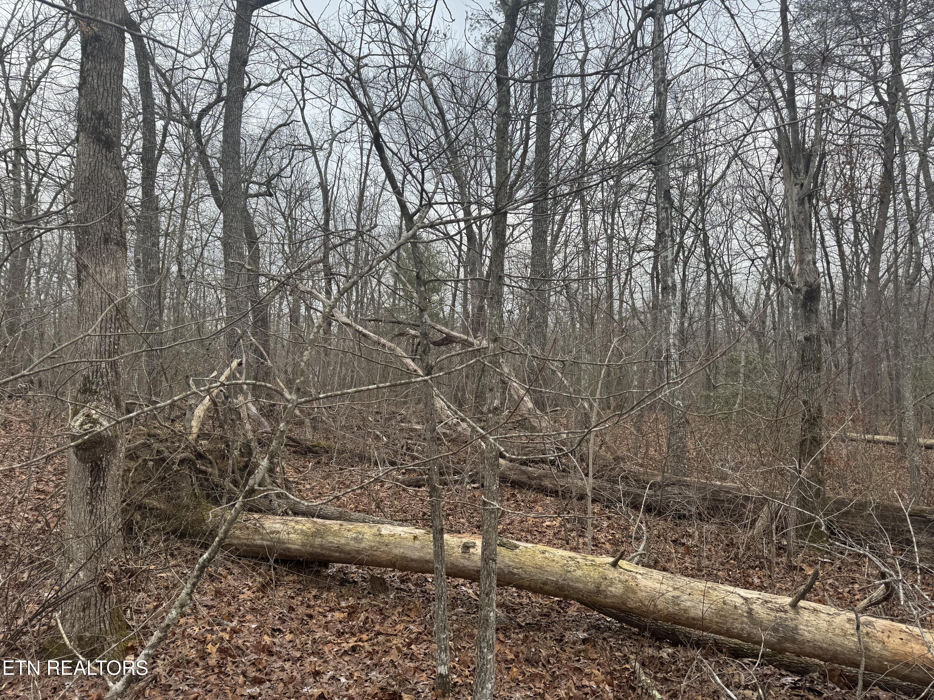 4011 Klamath Circle Crossville TN 38572