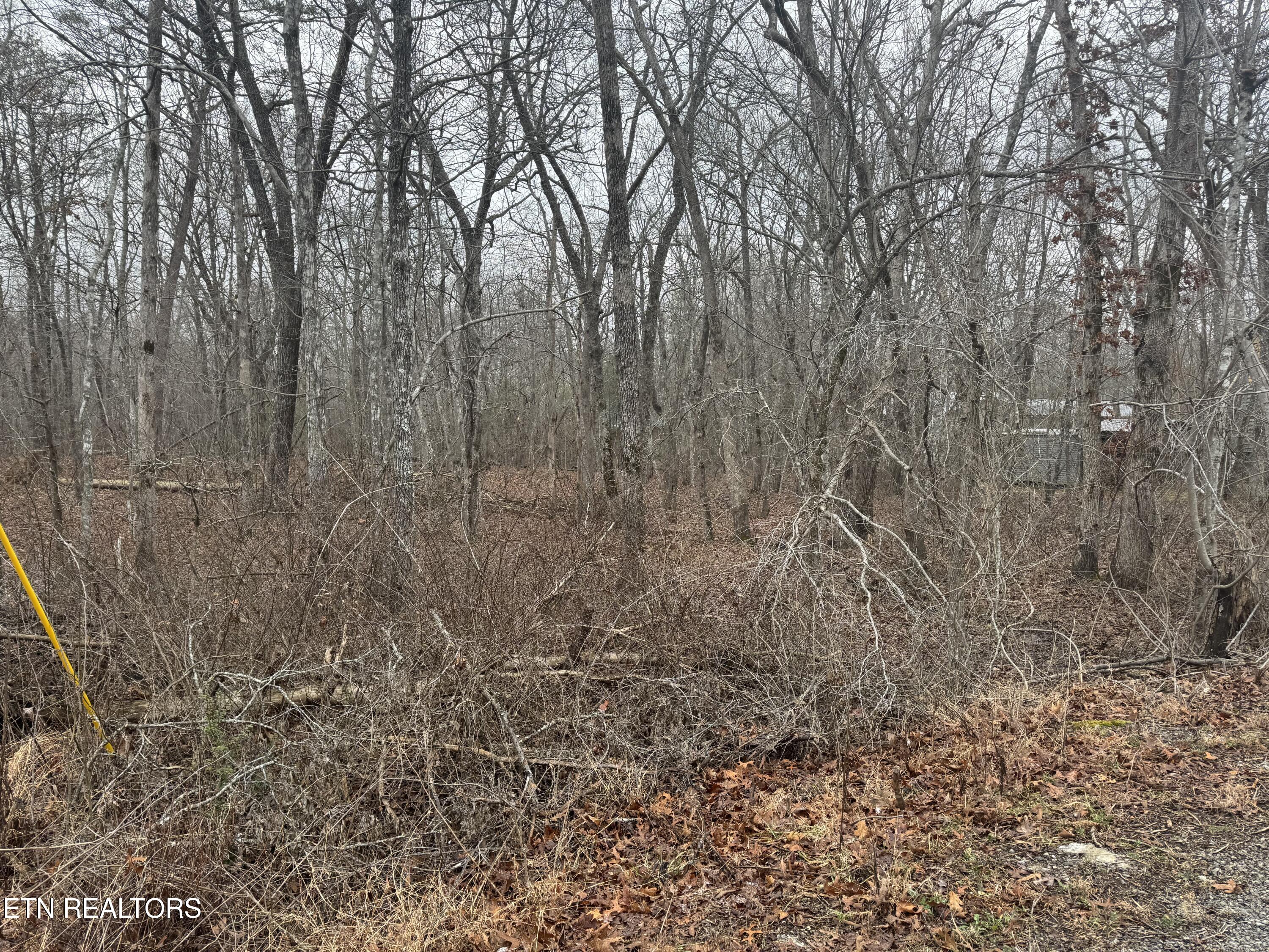 4011 Klamath Circle Crossville TN 38572