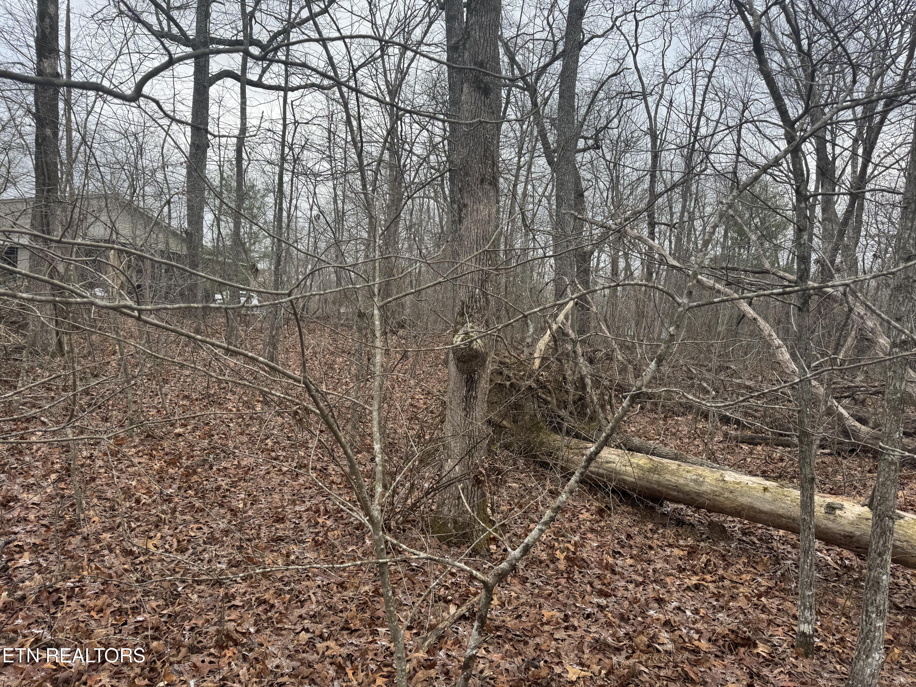 4011 Klamath Circle Crossville TN 38572