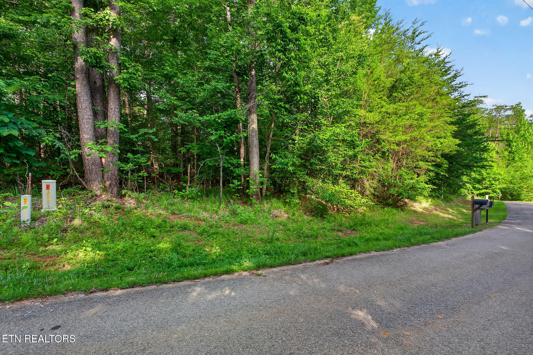 Simmons Cemetery Road Quebeck TN 38579