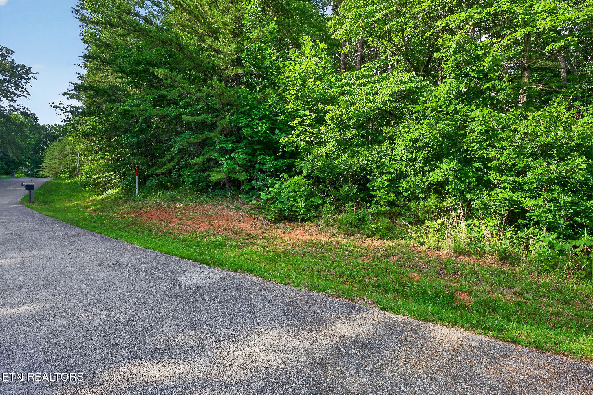 Simmons Cemetery Road Quebeck TN 38579