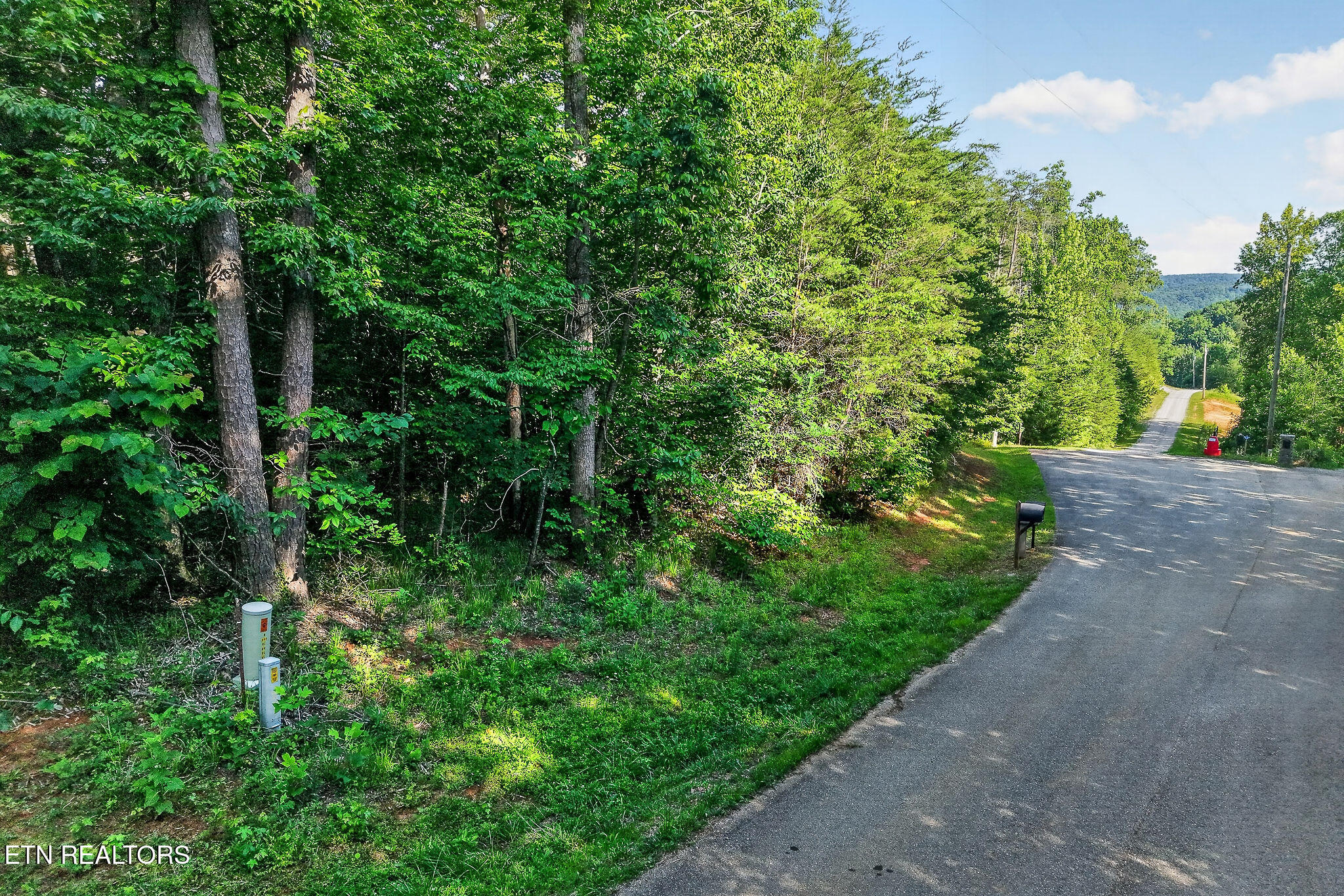 Simmons Cemetery Road Quebeck TN 38579