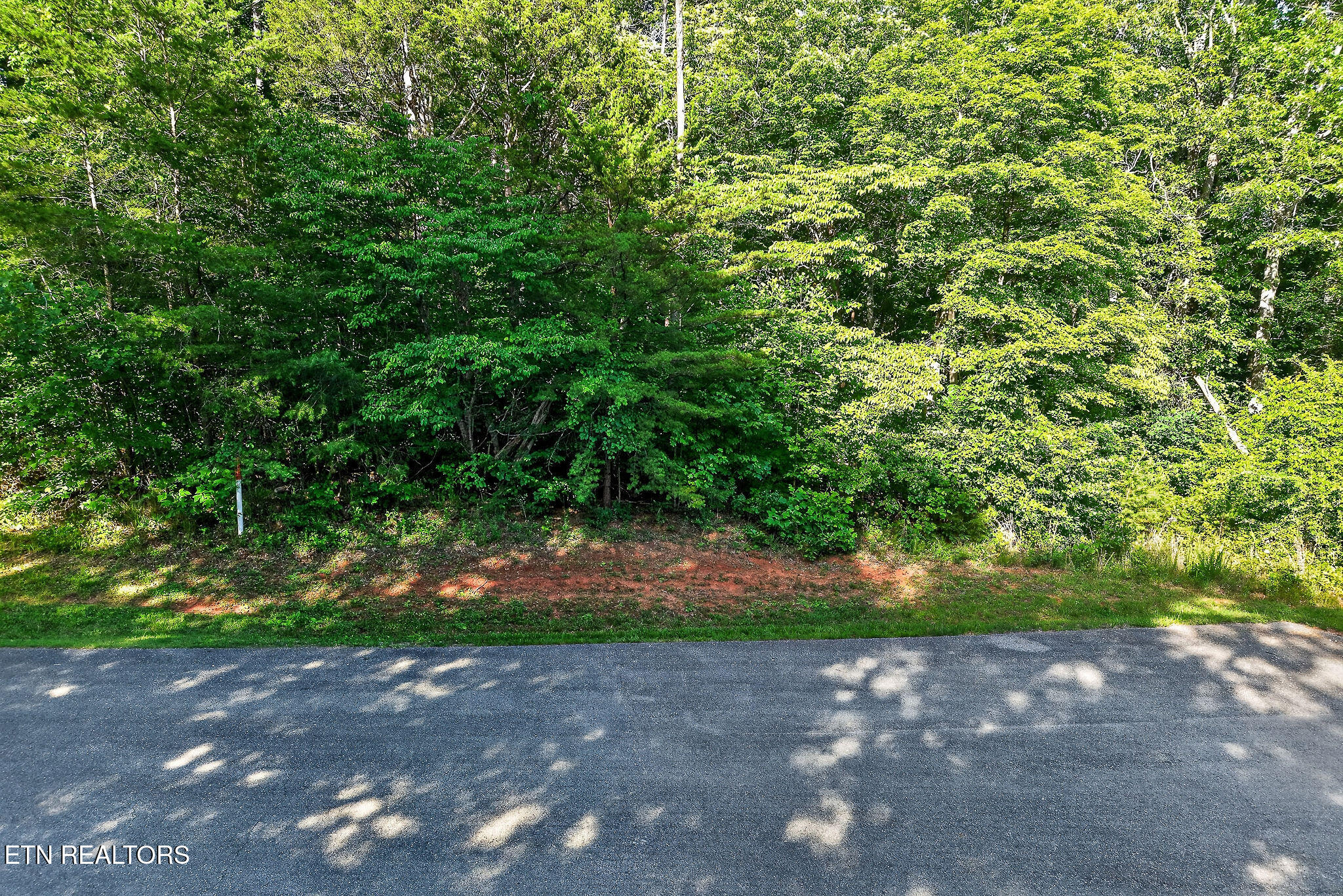 Simmons Cemetery Road Quebeck TN 38579