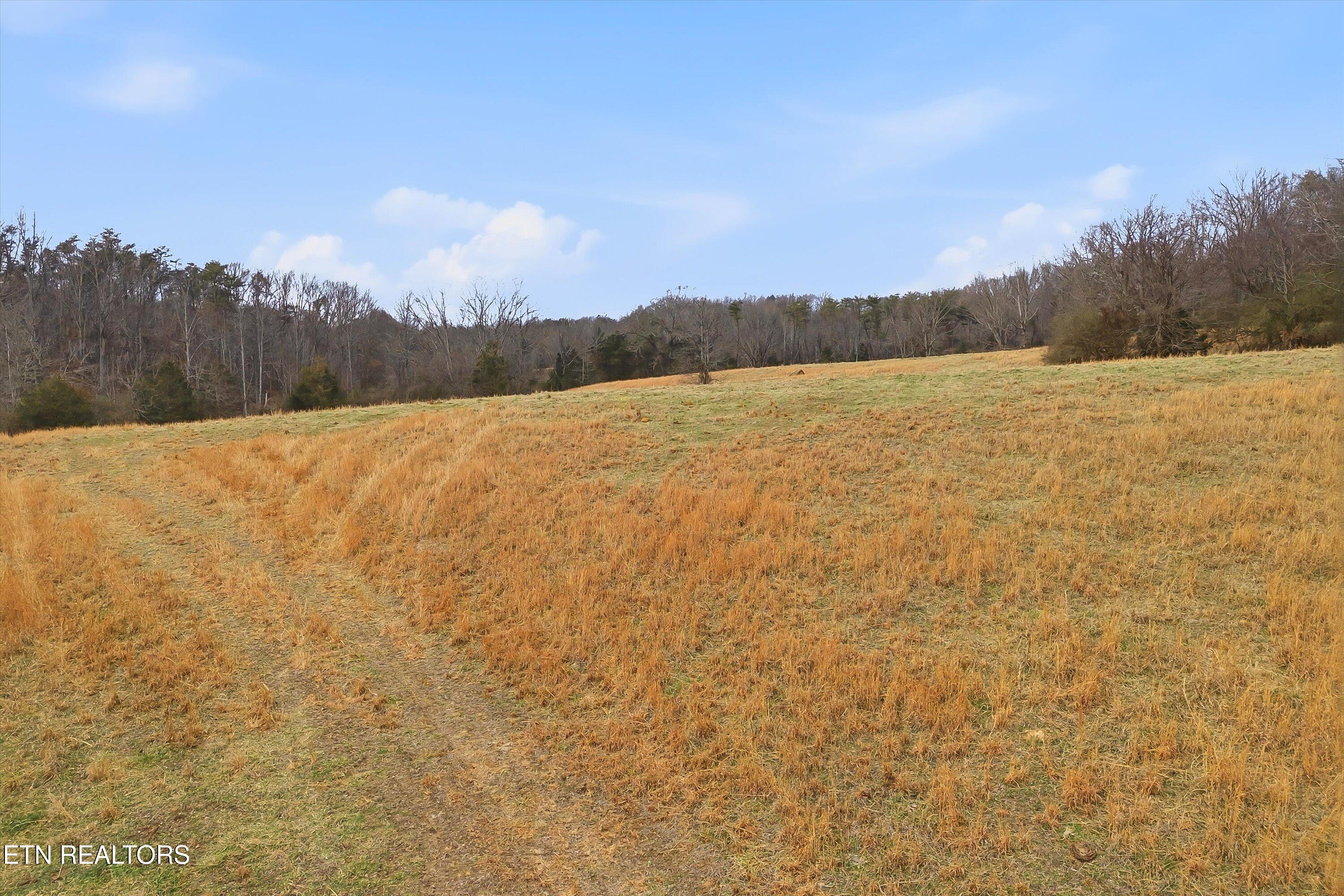 Chestua Road Madisonville TN 37354