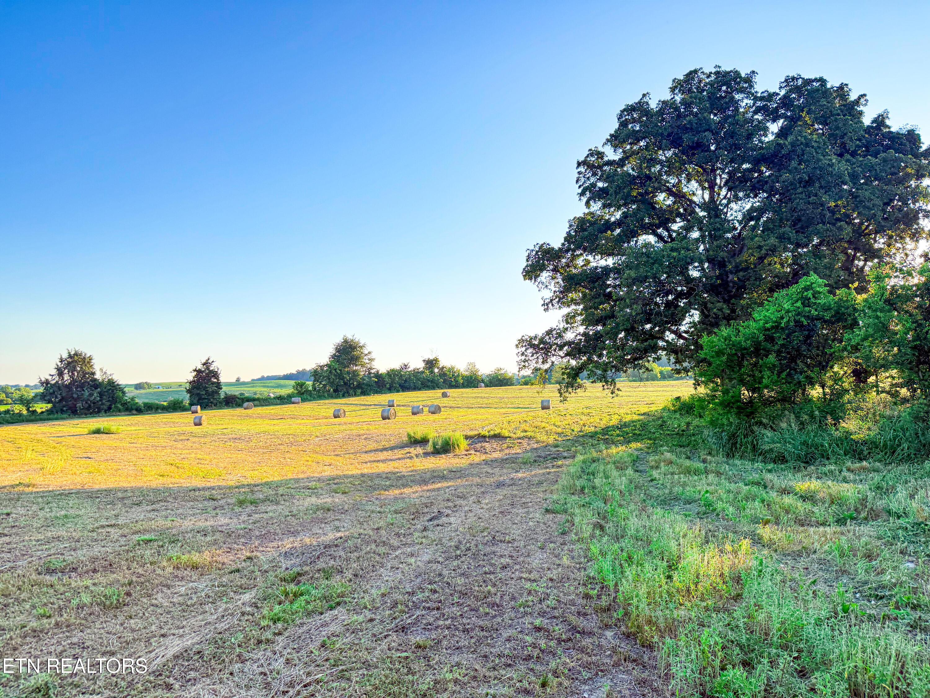 Lot 19 Summerset Drive Talbott TN 37877