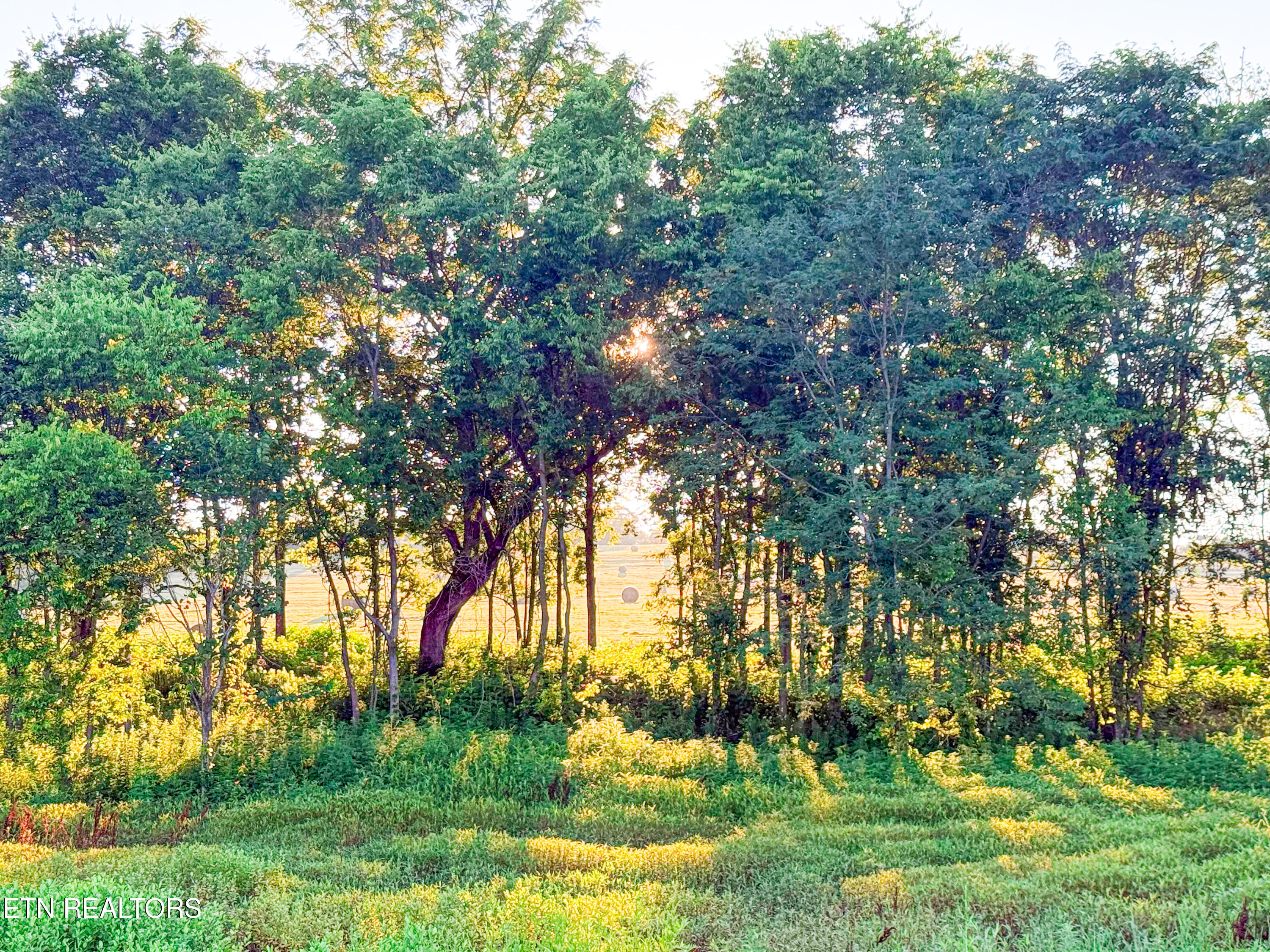 Lot 19 Summerset Drive Talbott TN 37877
