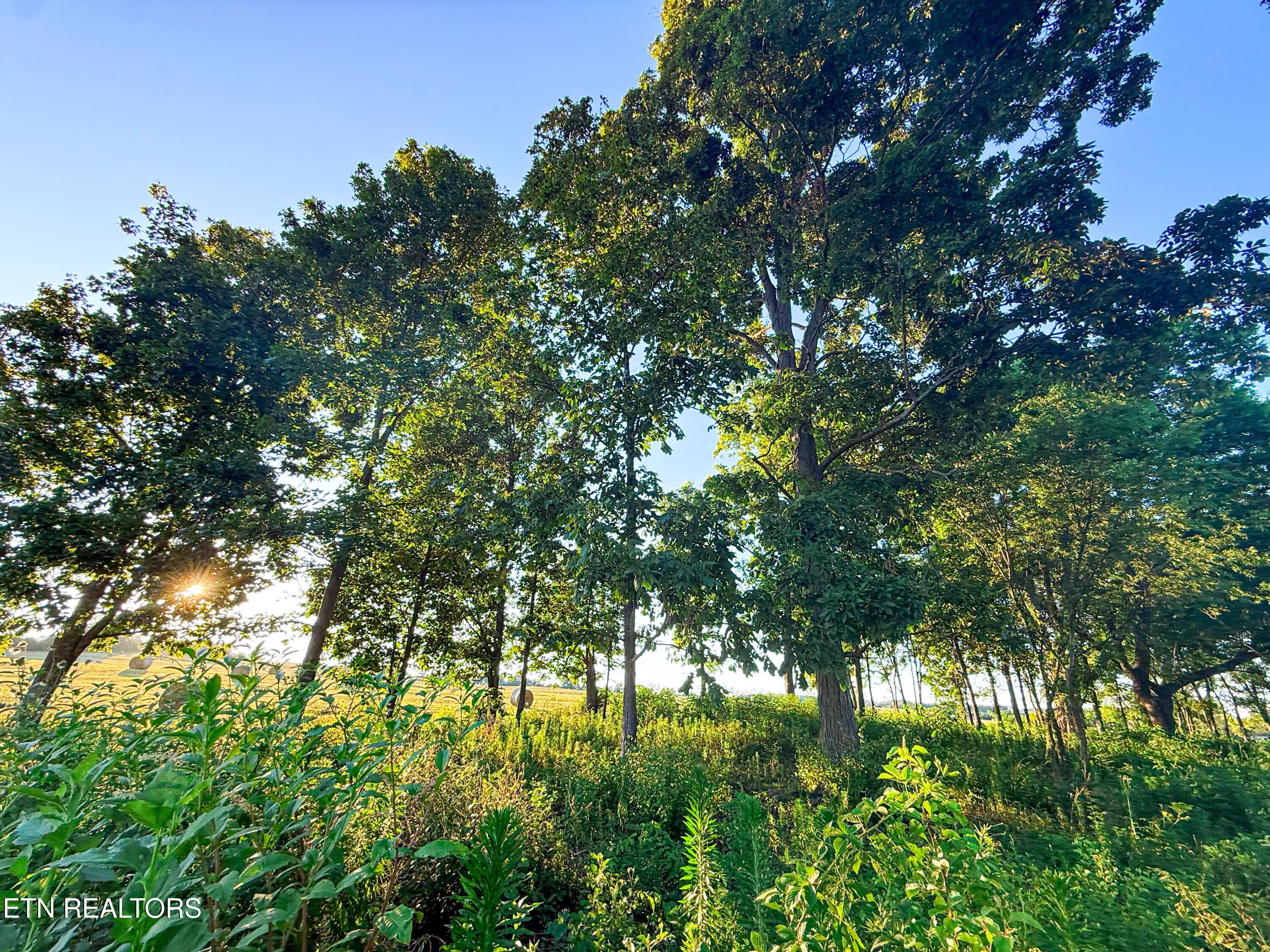 Lot 19 Summerset Drive Talbott TN 37877