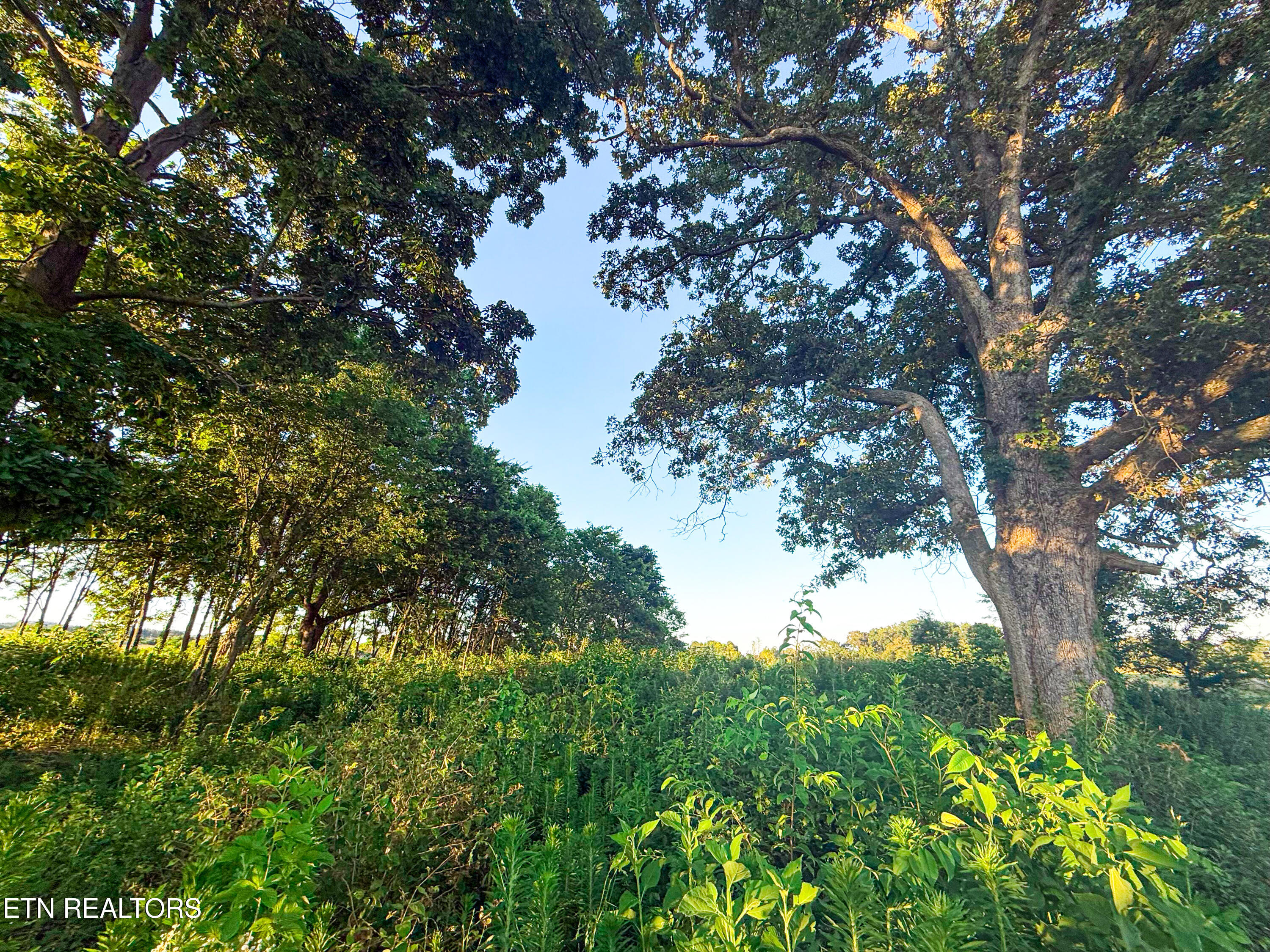 Lot 19 Summerset Drive Talbott TN 37877