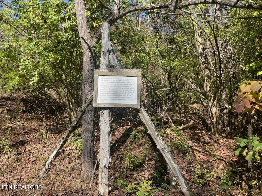 Creek Road Powell TN 37849