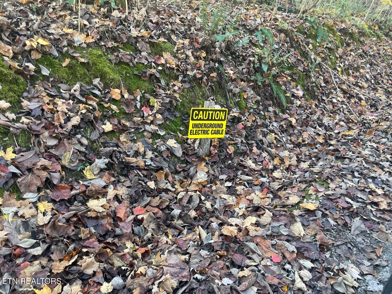 Creek Road Powell TN 37849
