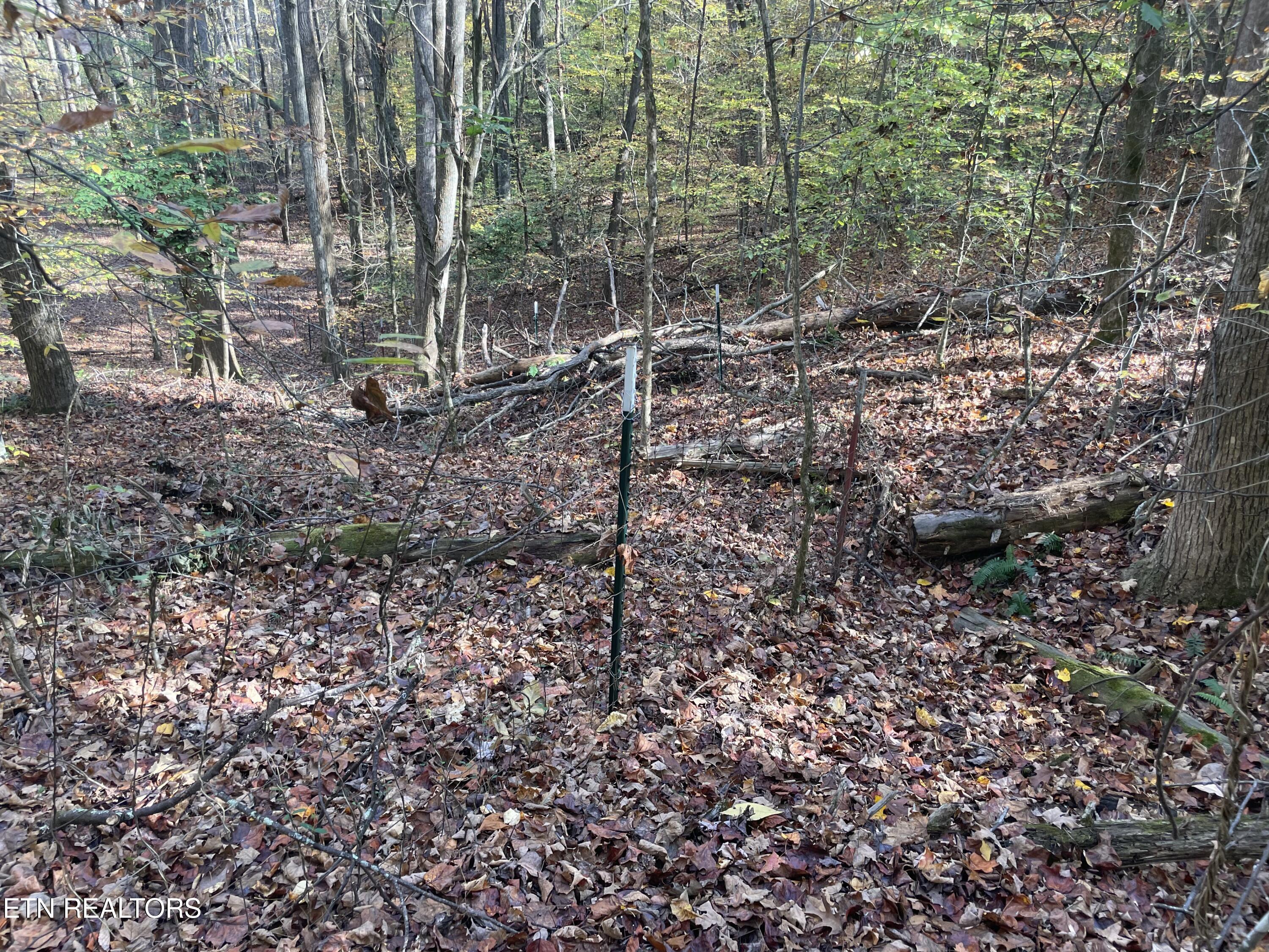 Creek Road Powell TN 37849