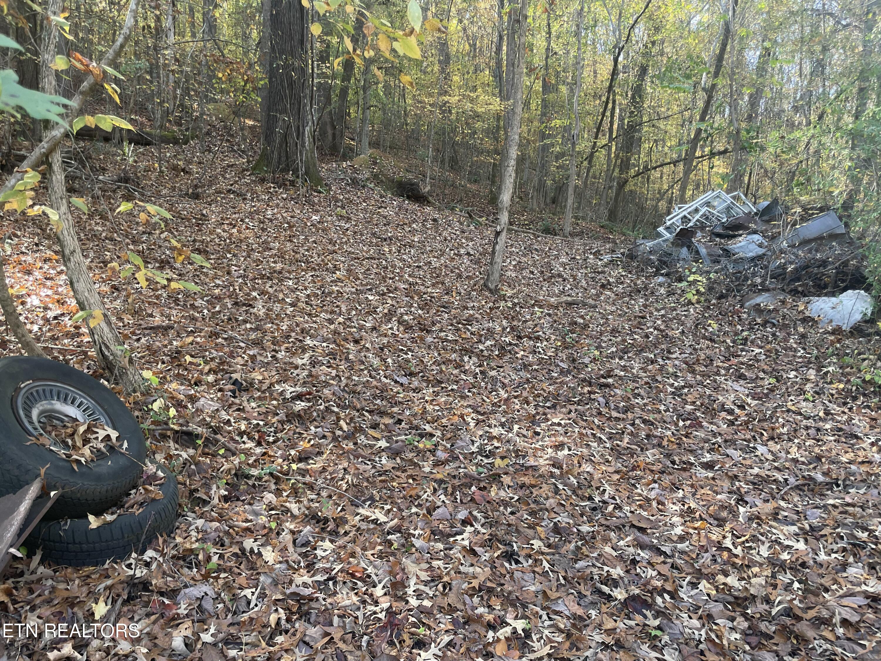 Creek Road Powell TN 37849