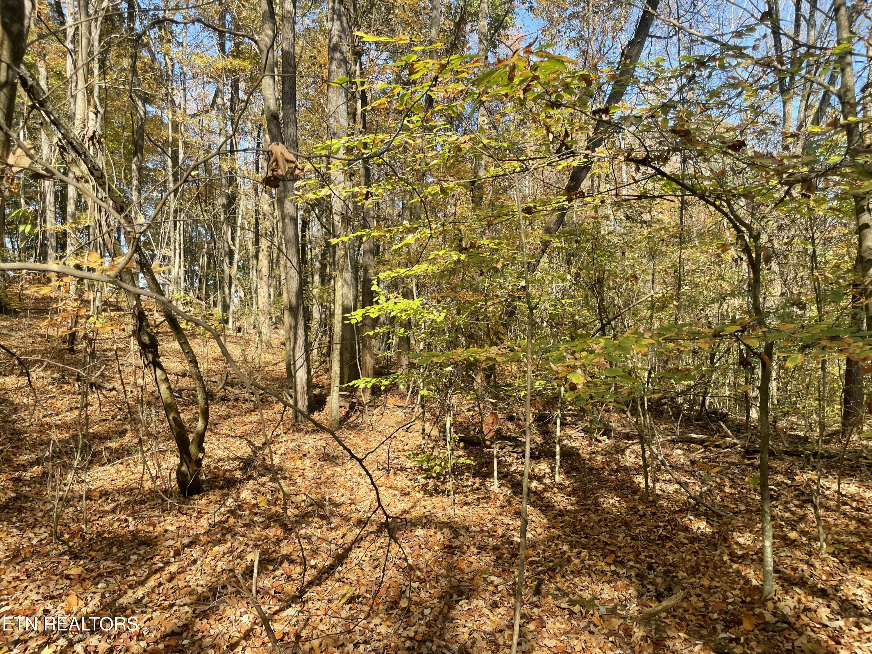 Creek Road Powell TN 37849