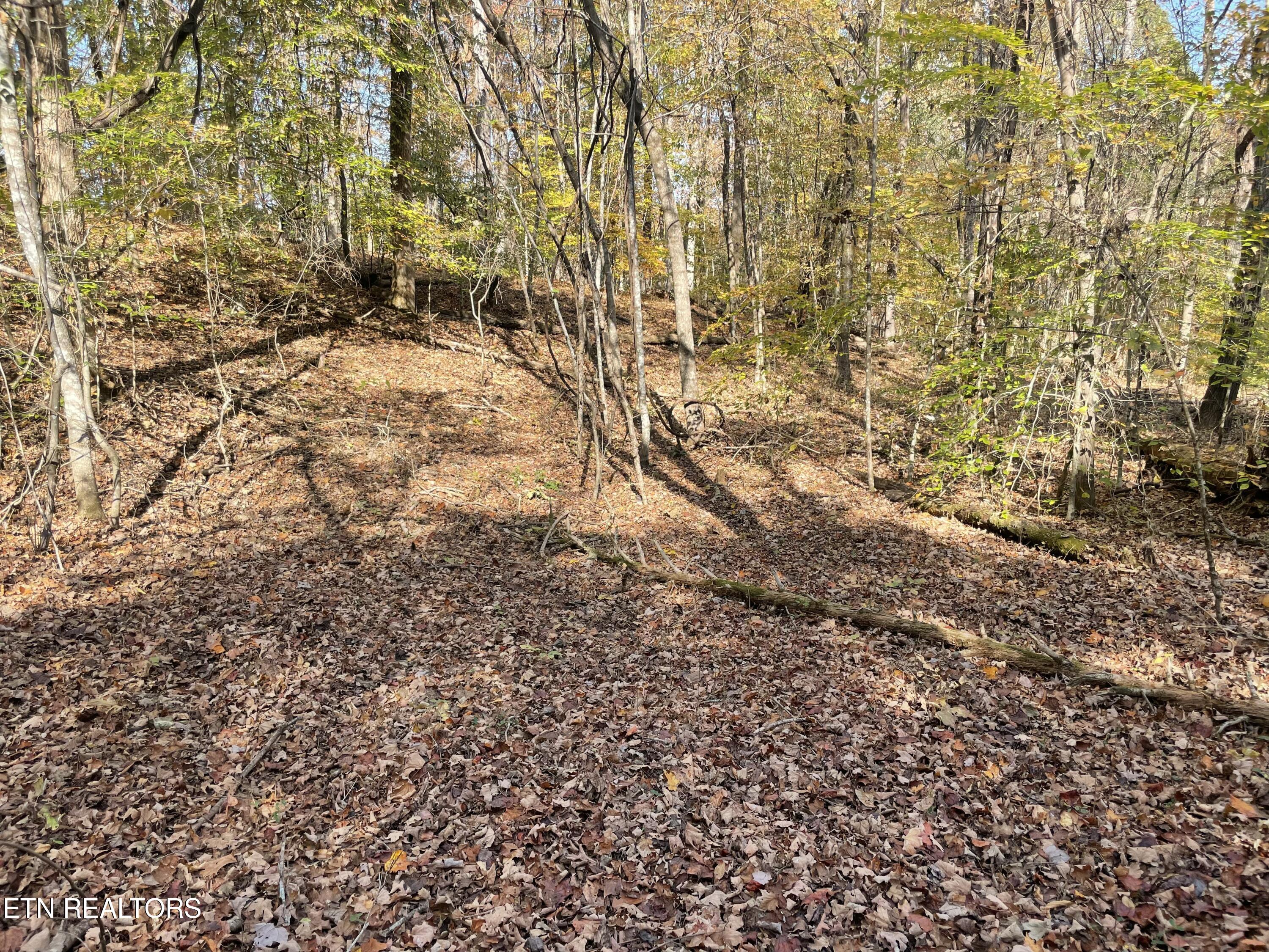 Creek Road Powell TN 37849