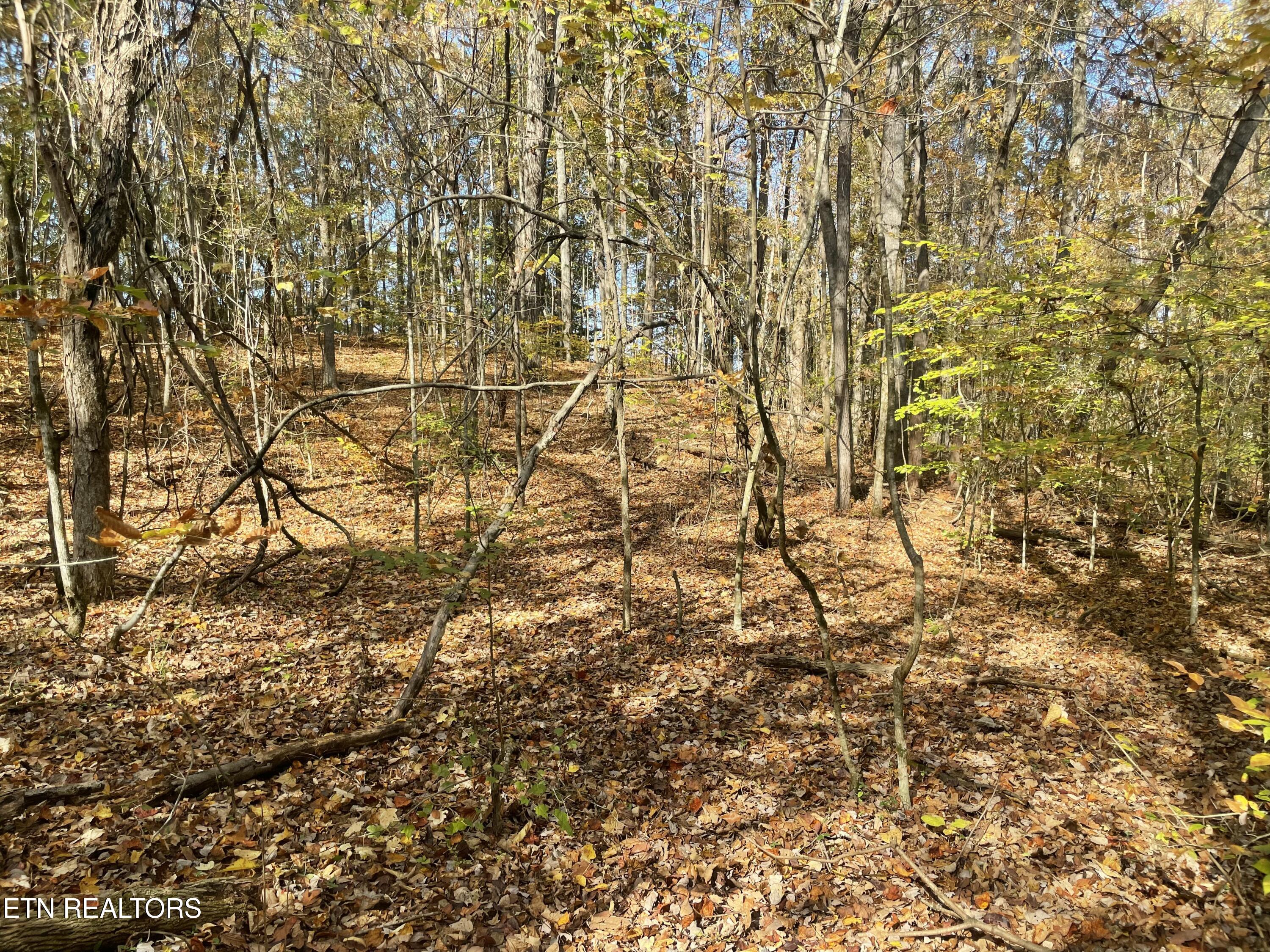 Creek Road Powell TN 37849