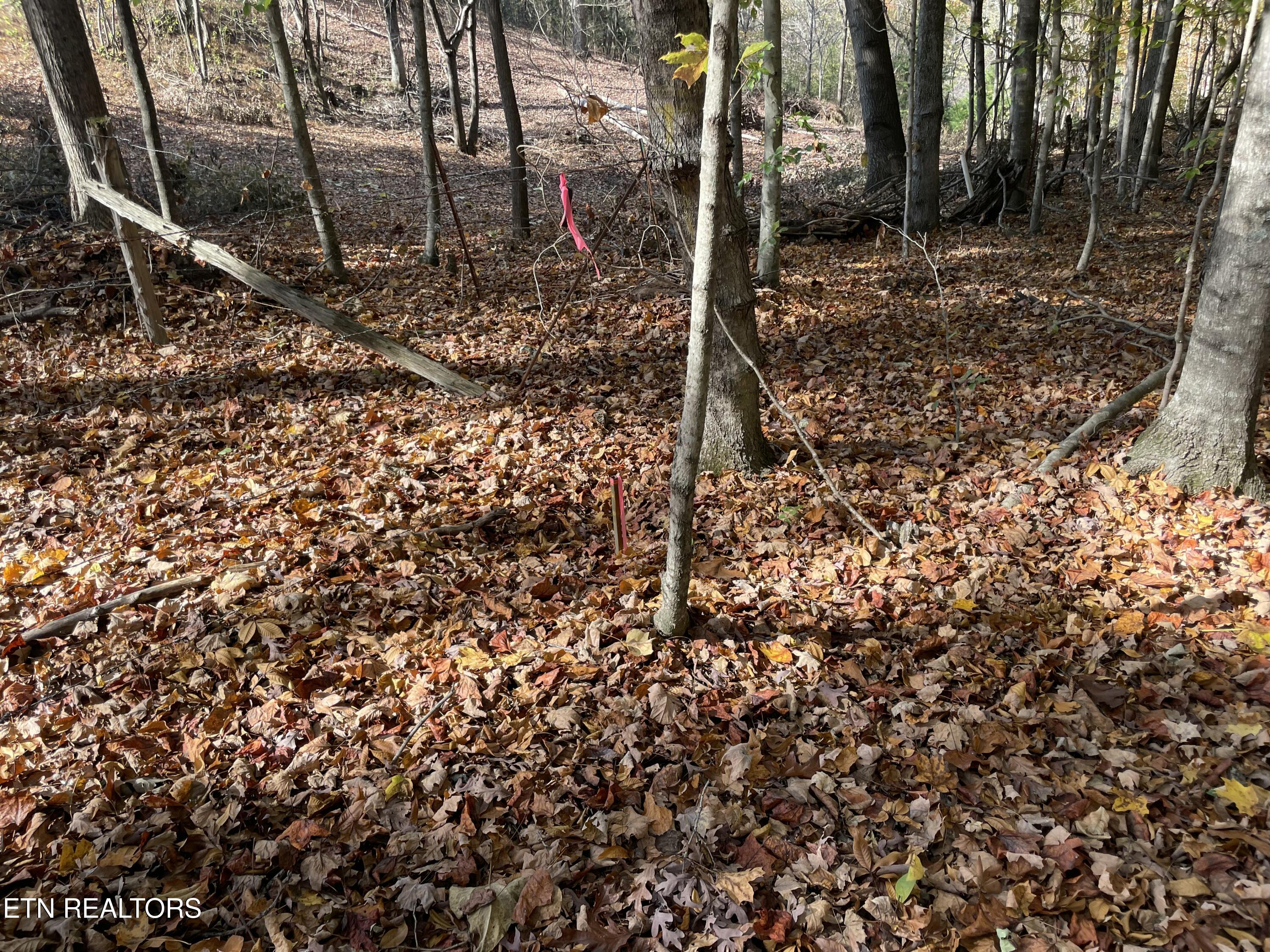 Creek Road Powell TN 37849
