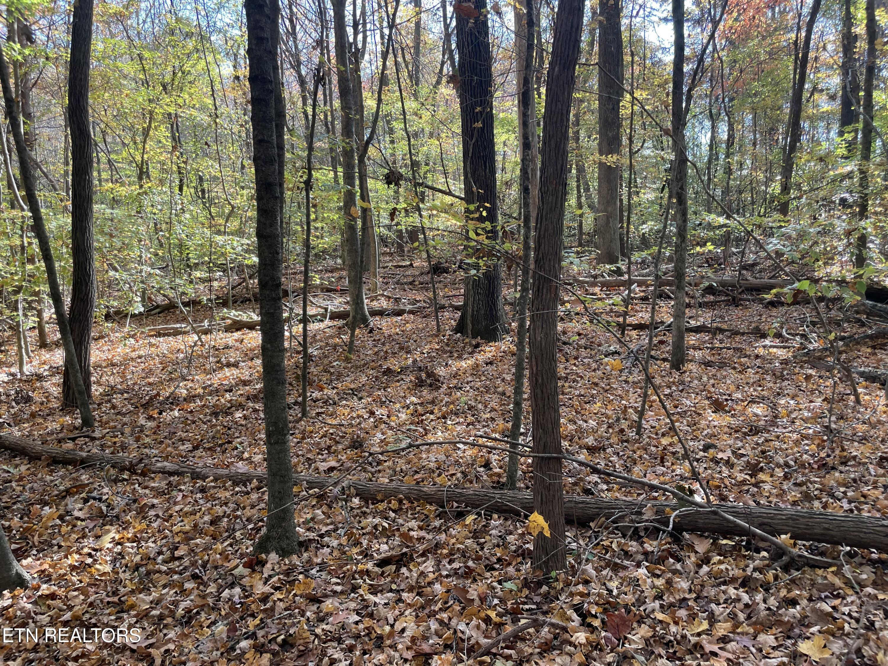 Creek Road Powell TN 37849