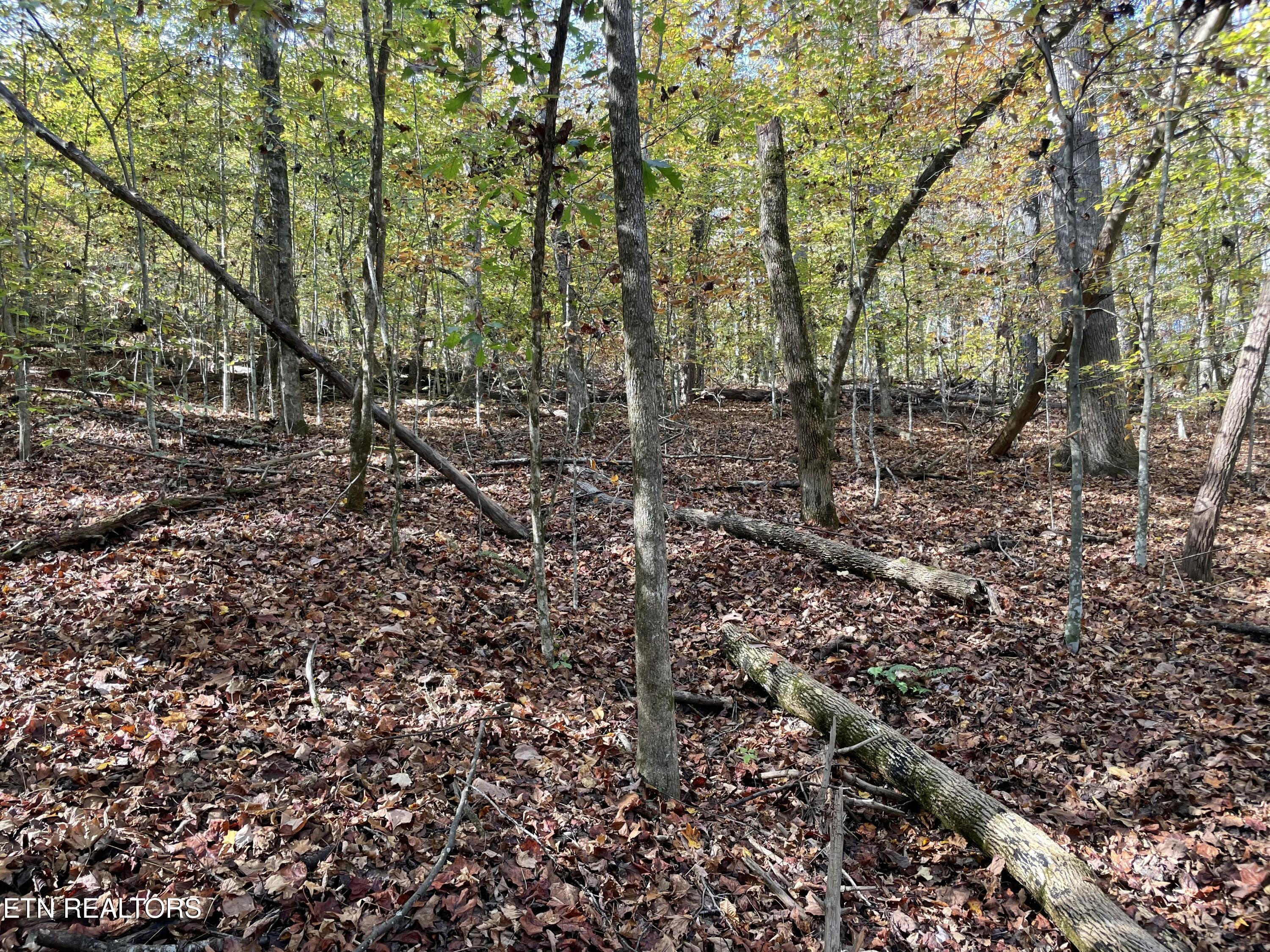 Creek Road Powell TN 37849