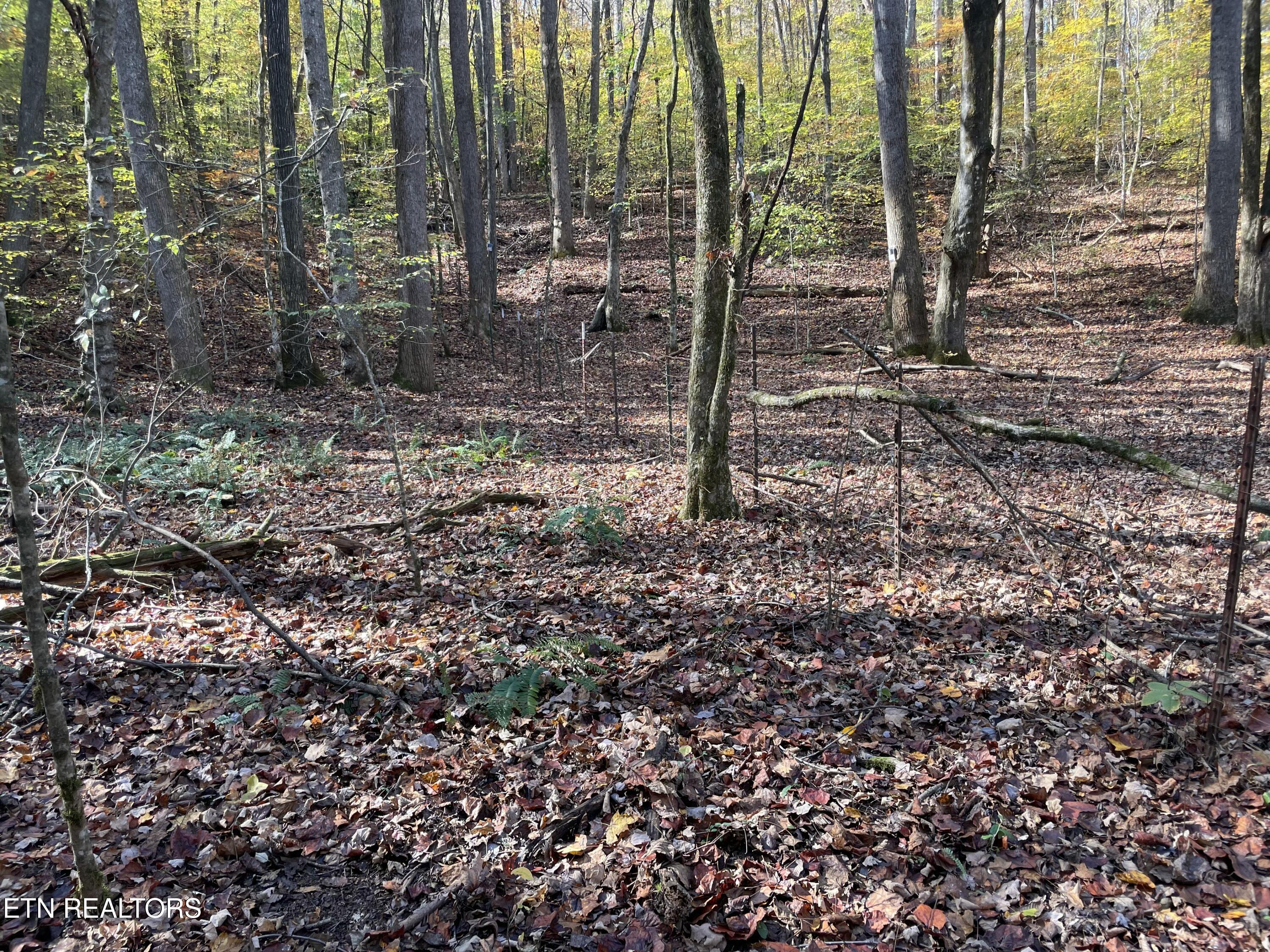 Creek Road Powell TN 37849