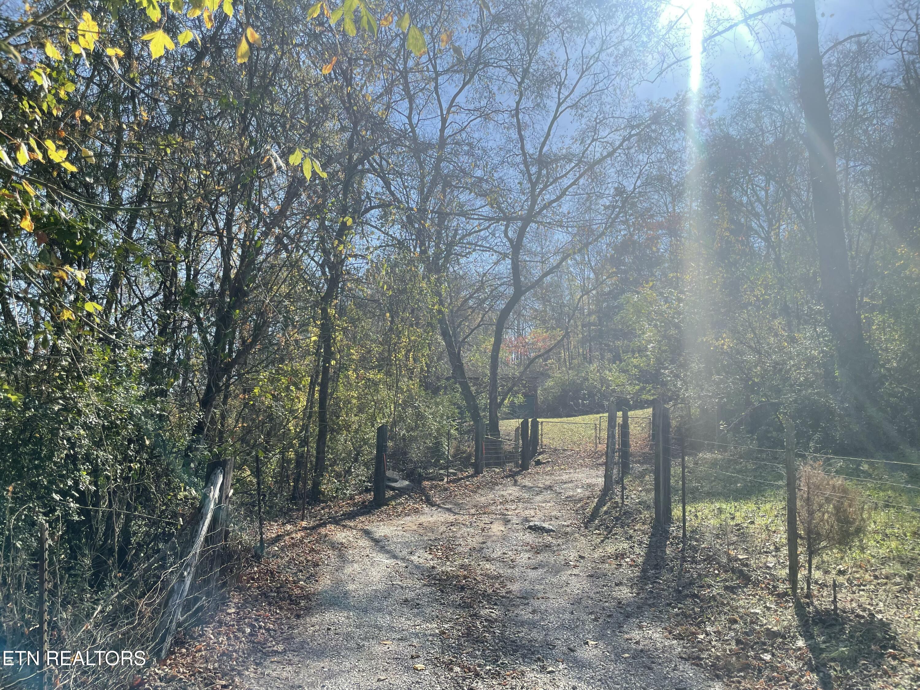 Creek Road Powell TN 37849