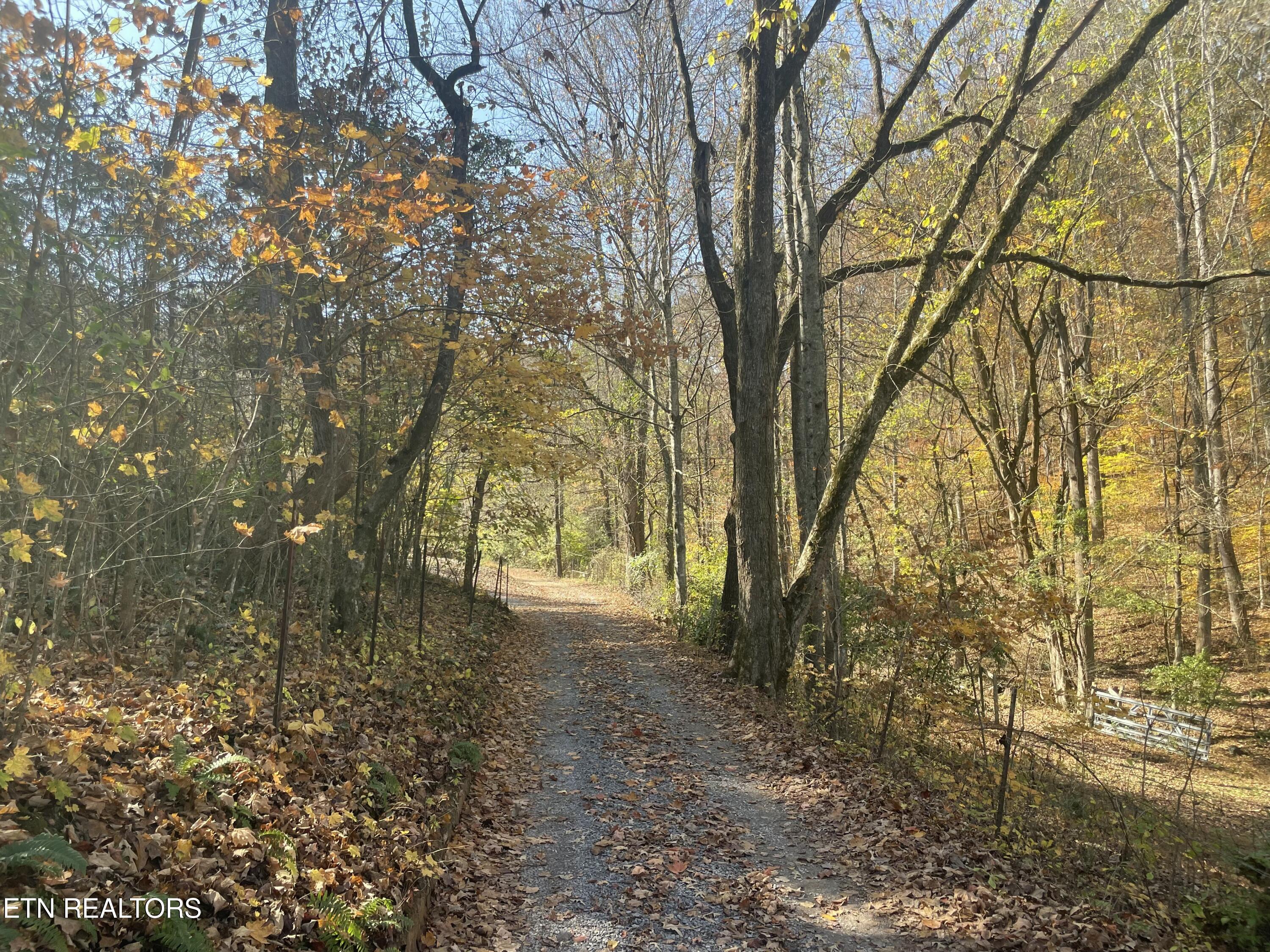 Creek Road Powell TN 37849