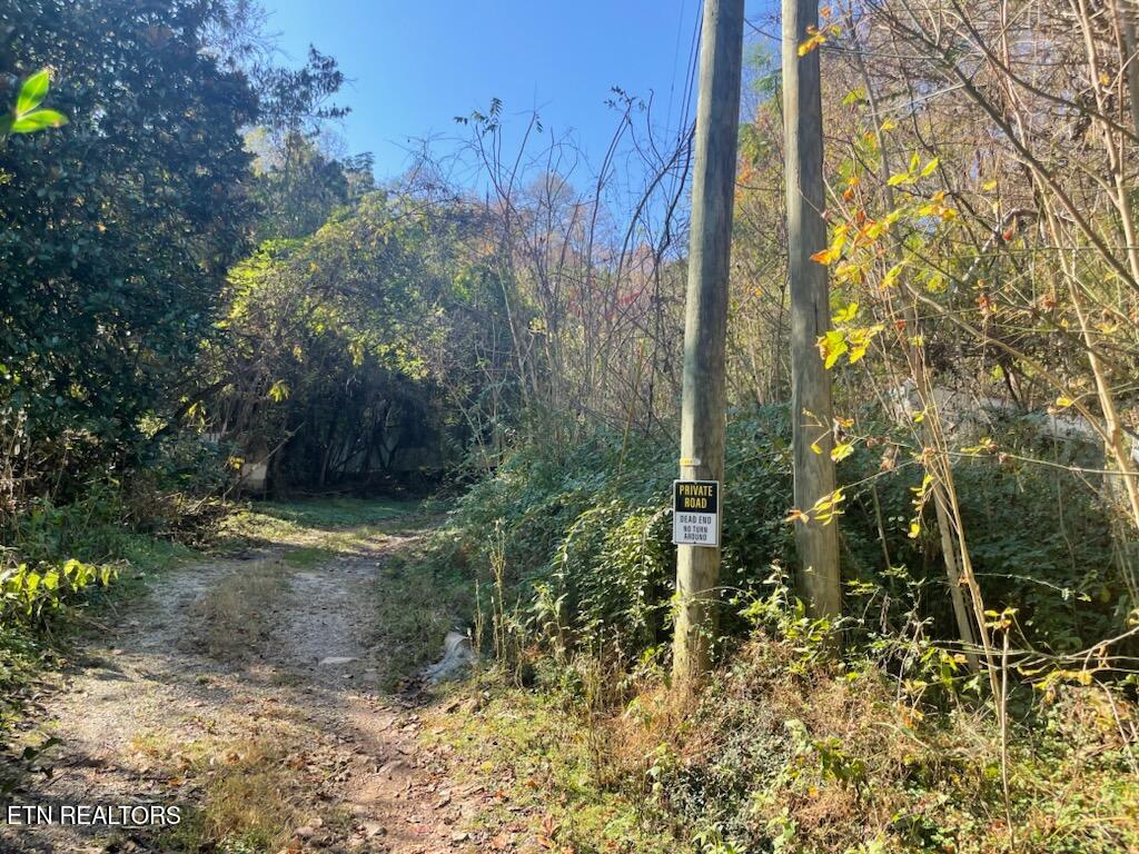 Creek Road Powell TN 37849