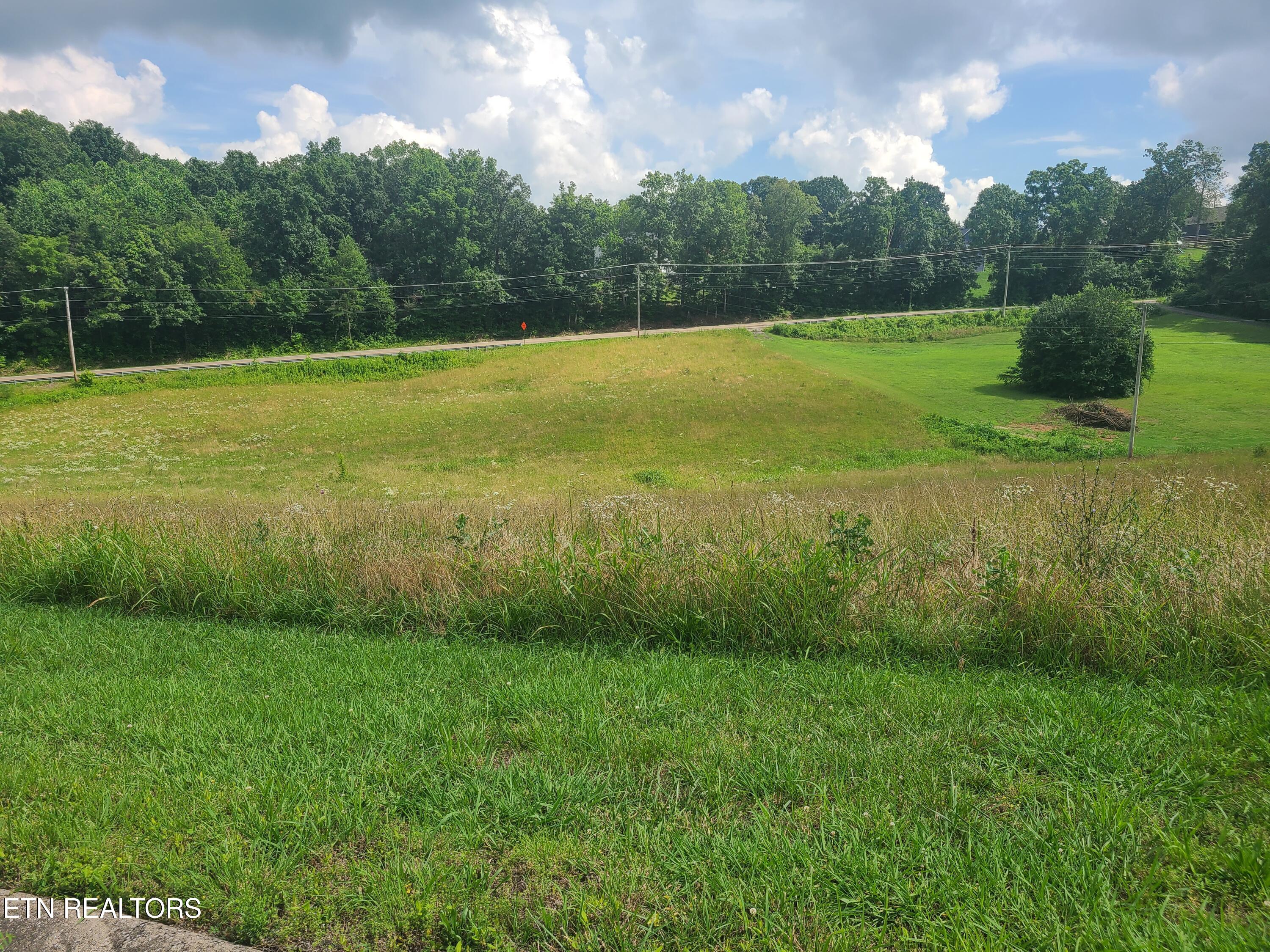 213 Washita Lane Rutledge TN 37861