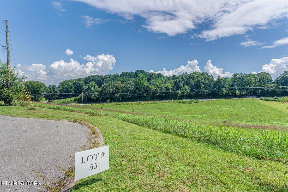213 Washita Lane Rutledge TN 37861