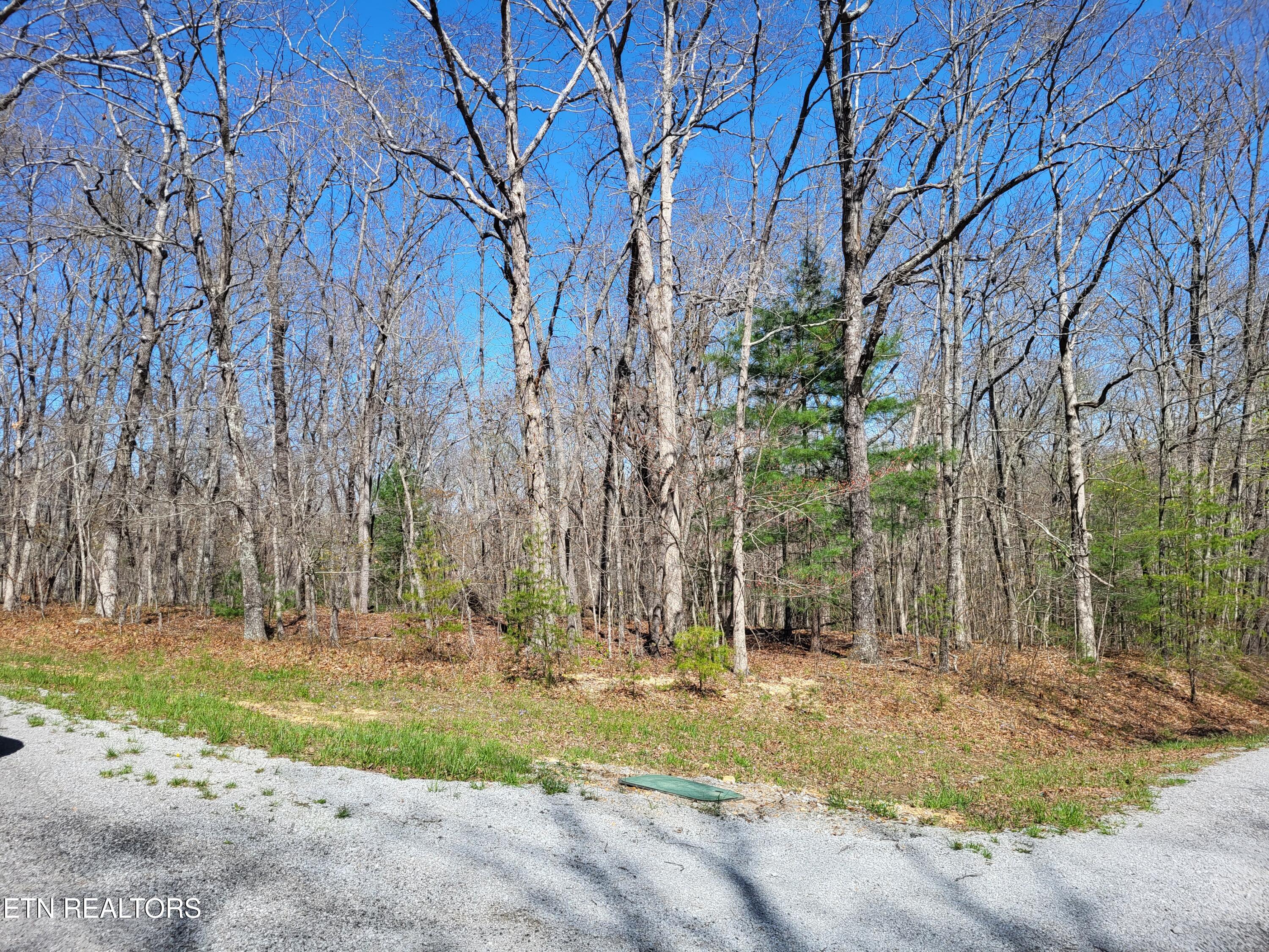 105 Torrey Pines Lane Crossville TN 38558