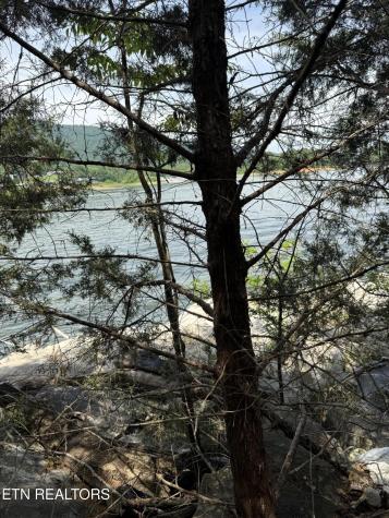 00 Walnut Bend Drive Whitesburg TN 37891
