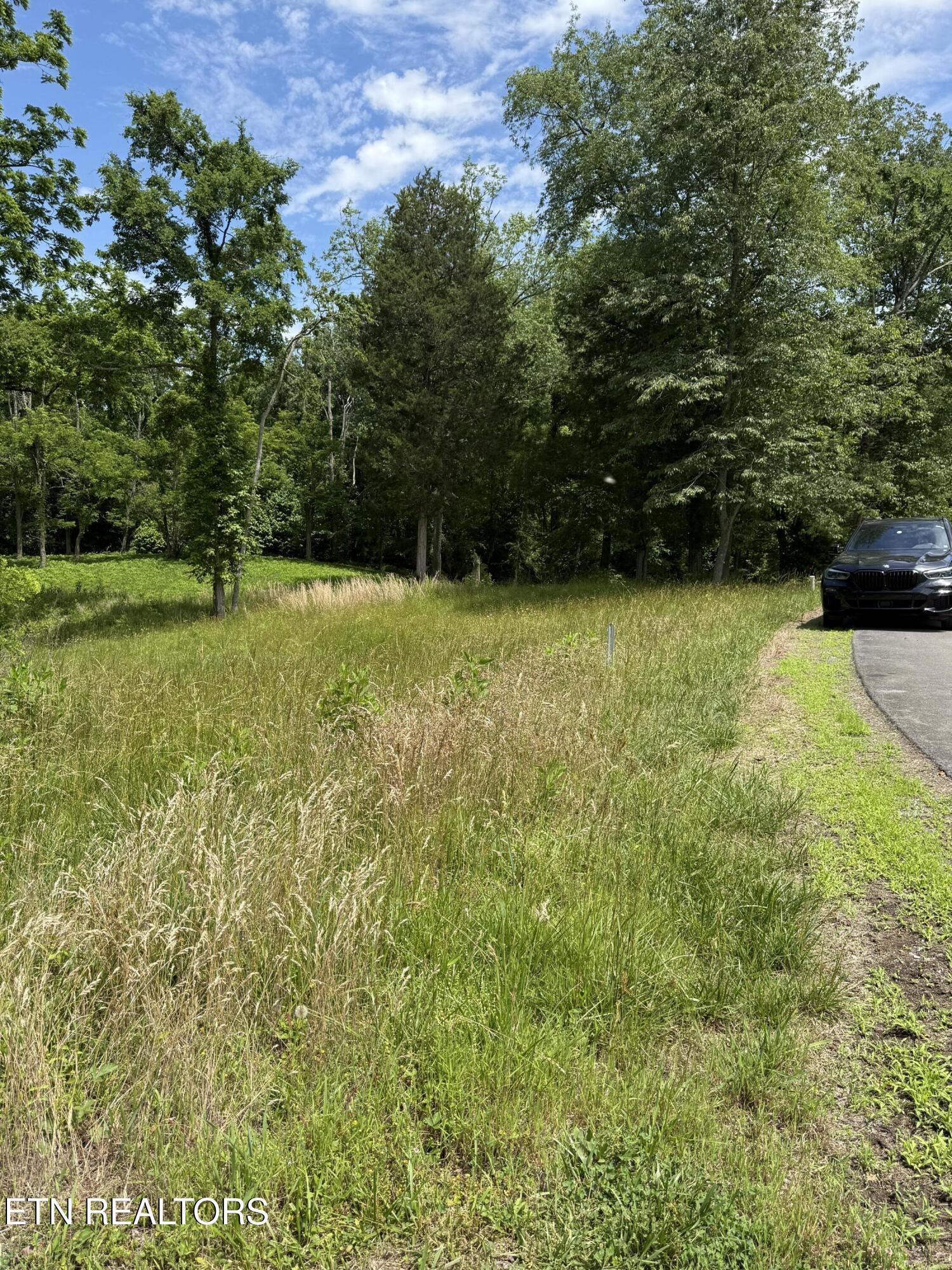 00 Walnut Bend Drive Whitesburg TN 37891