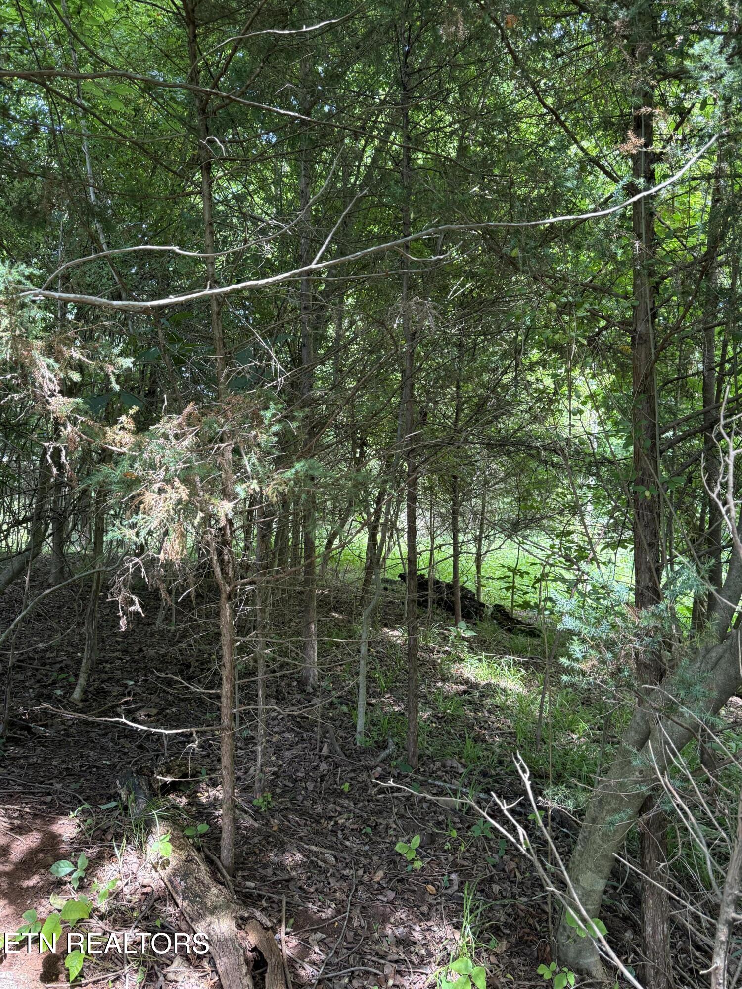 00 Walnut Bend Drive Whitesburg TN 37891