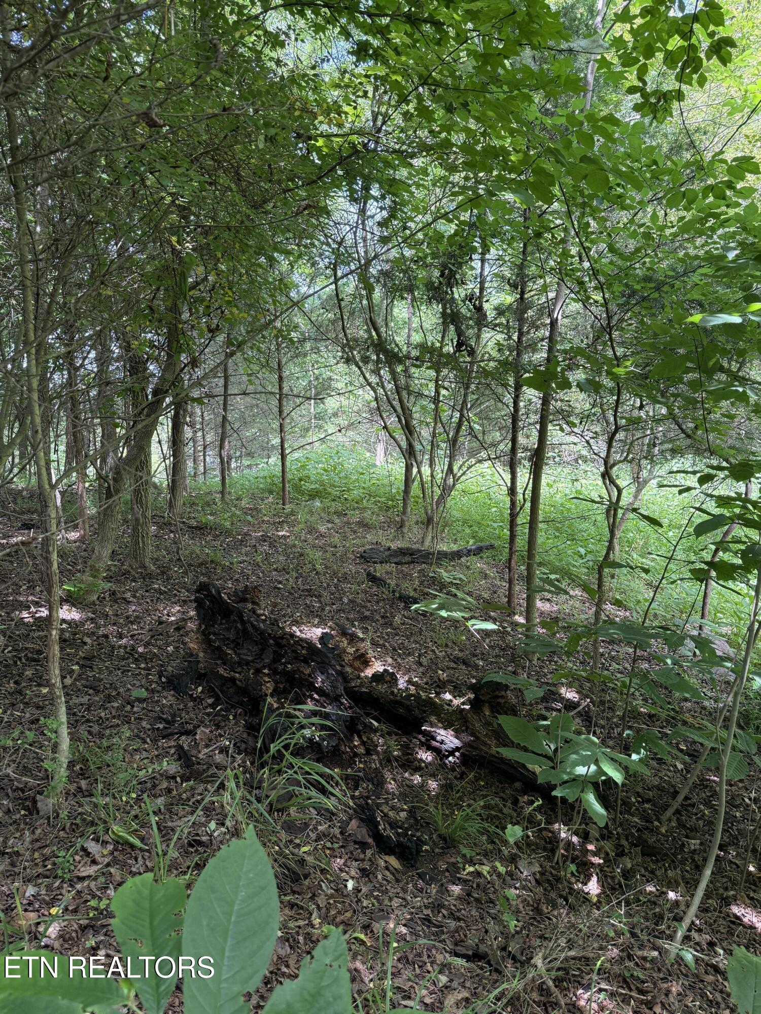00 Walnut Bend Drive Whitesburg TN 37891